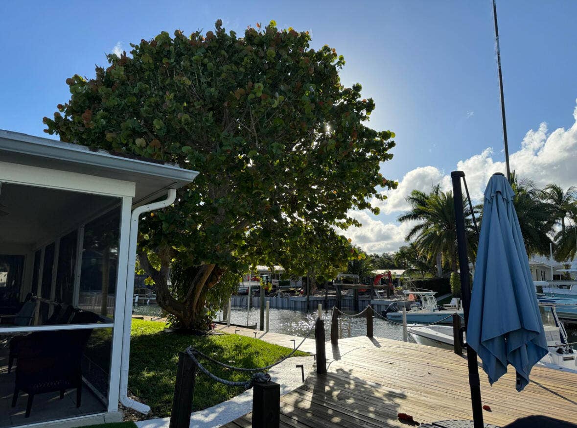 954 Marlin Circle, Jupiter, FL 33458 IMG_4270