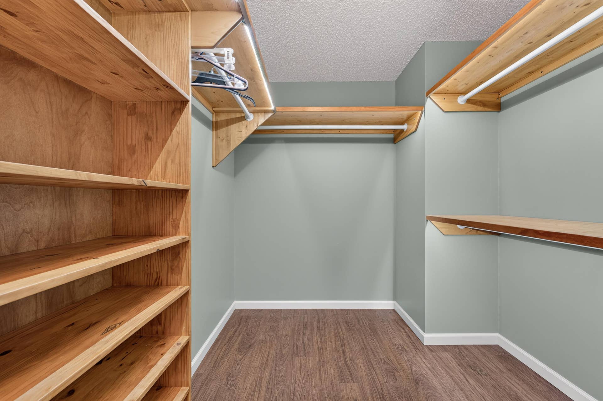 One of the Primary closets with built-ins
