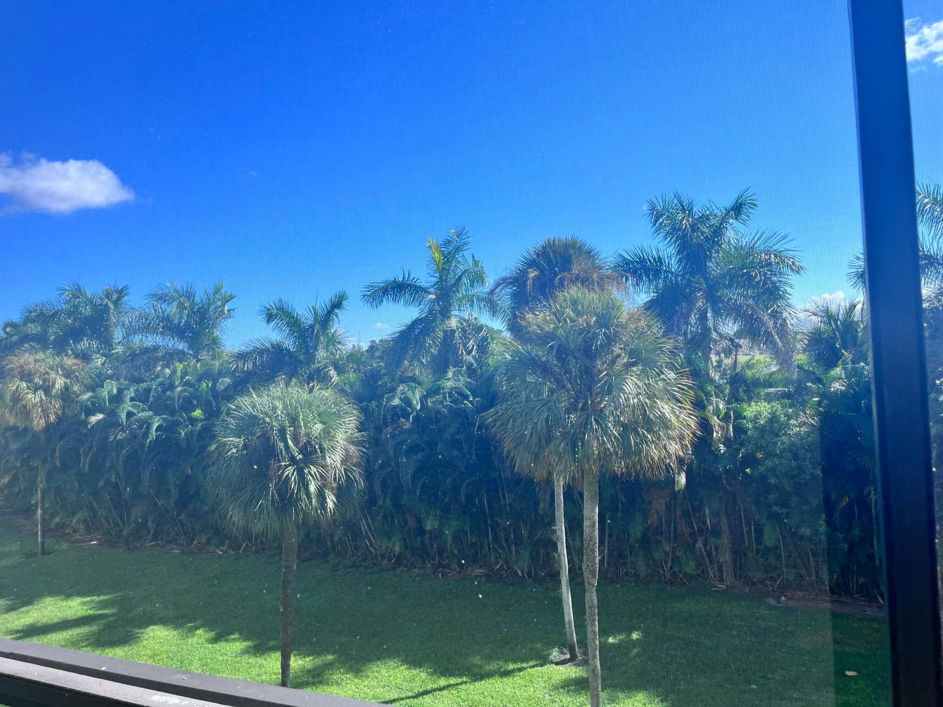 3000 PRESIDENTIAL Way, #301, West Palm Beach, FL 33401 IMG_0880