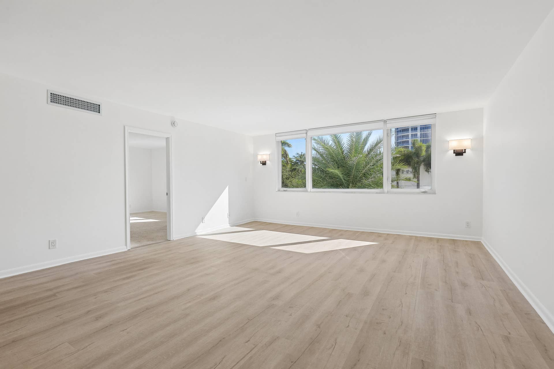 711 N Birch Road, #204, Fort Lauderdale, FL 33304 Beautiful palm in front of the window.