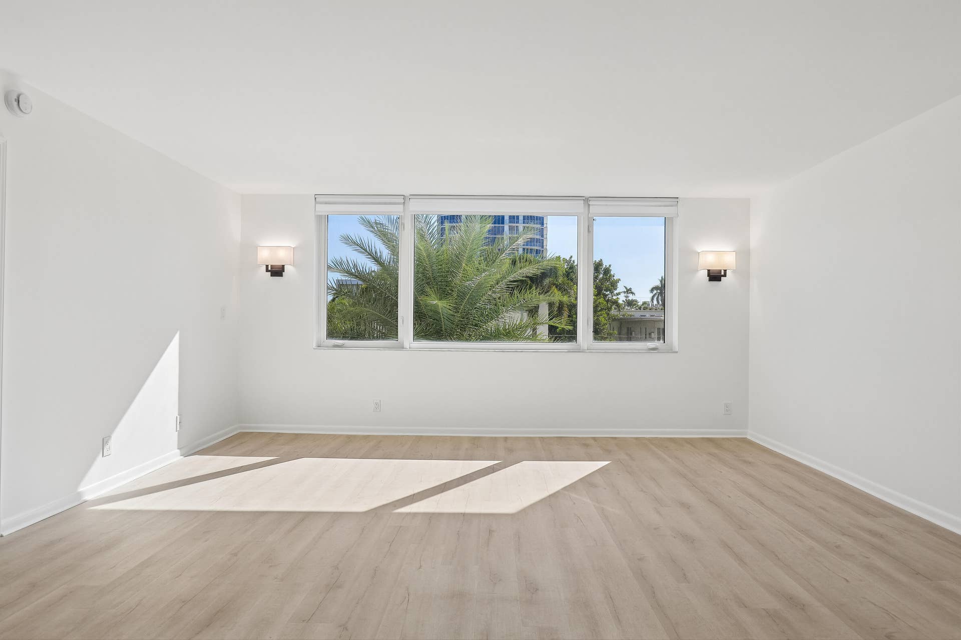 711 N Birch Road, #204, Fort Lauderdale, FL 33304 Really beautiful natural lighting.