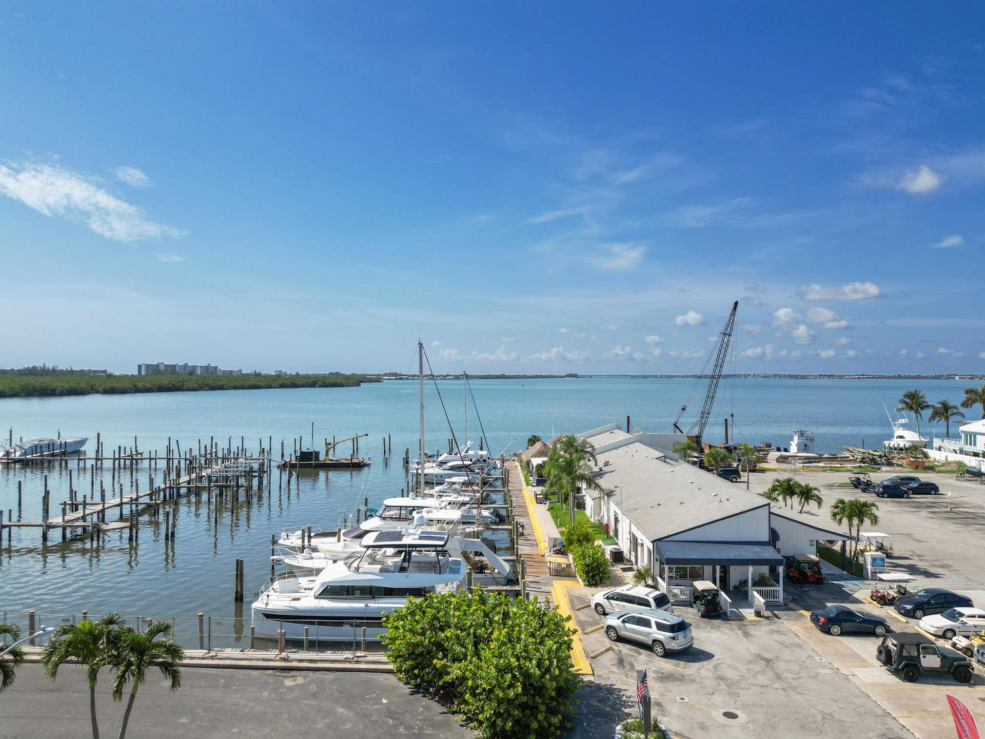 DJI_0555