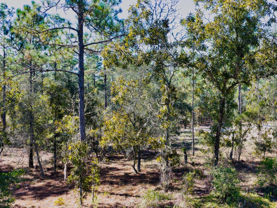 Property photo for 0 SW Edgewater Blvd, Dunnellon, FL