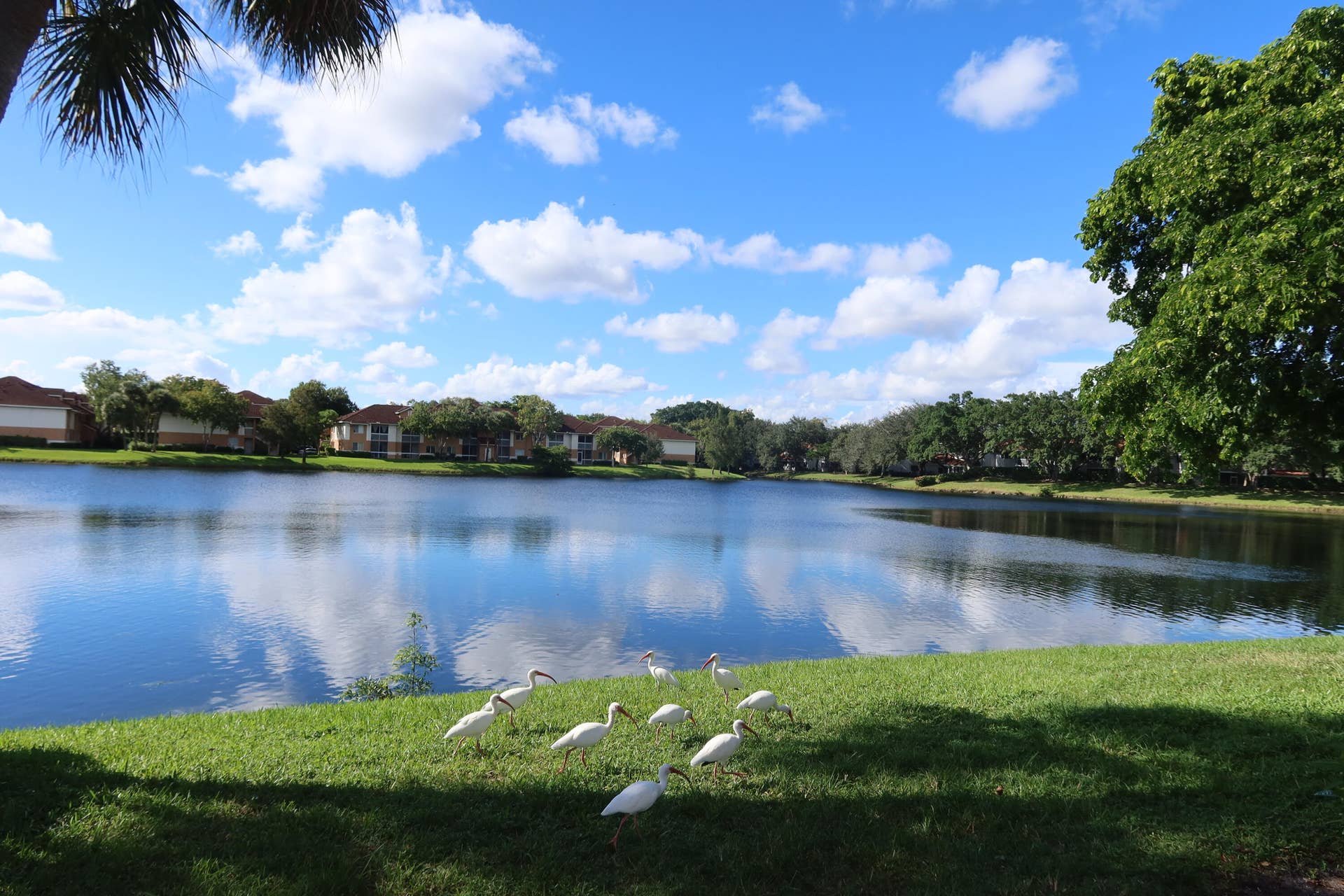 781 NW 91ST Terrace, Plantation, FL 33324 IMG_7087
