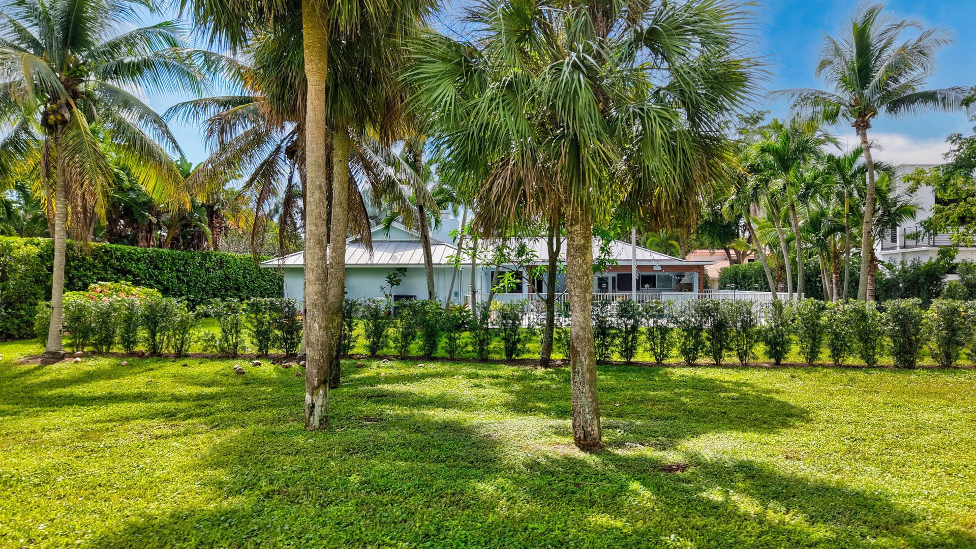 2919 Banyan Blvd Circle NW, Boca Raton, FL 33431 Expansive backyard featuring a lush grass lawn, mature palm trees, and dense perimeter hedge landscaping