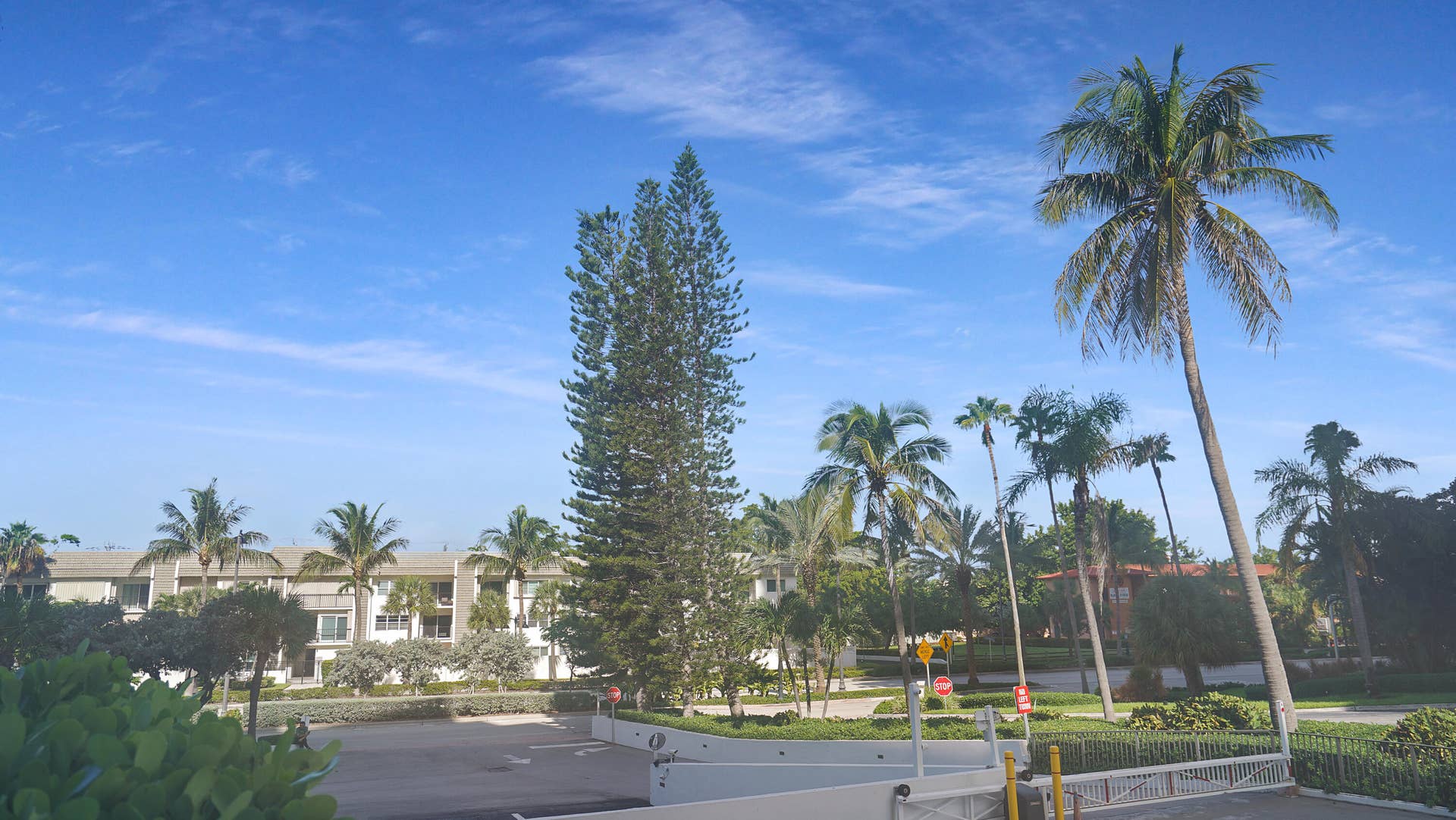 4250 Galt Ocean Drive, #1A, Fort Lauderdale, FL 33308 DSC03114