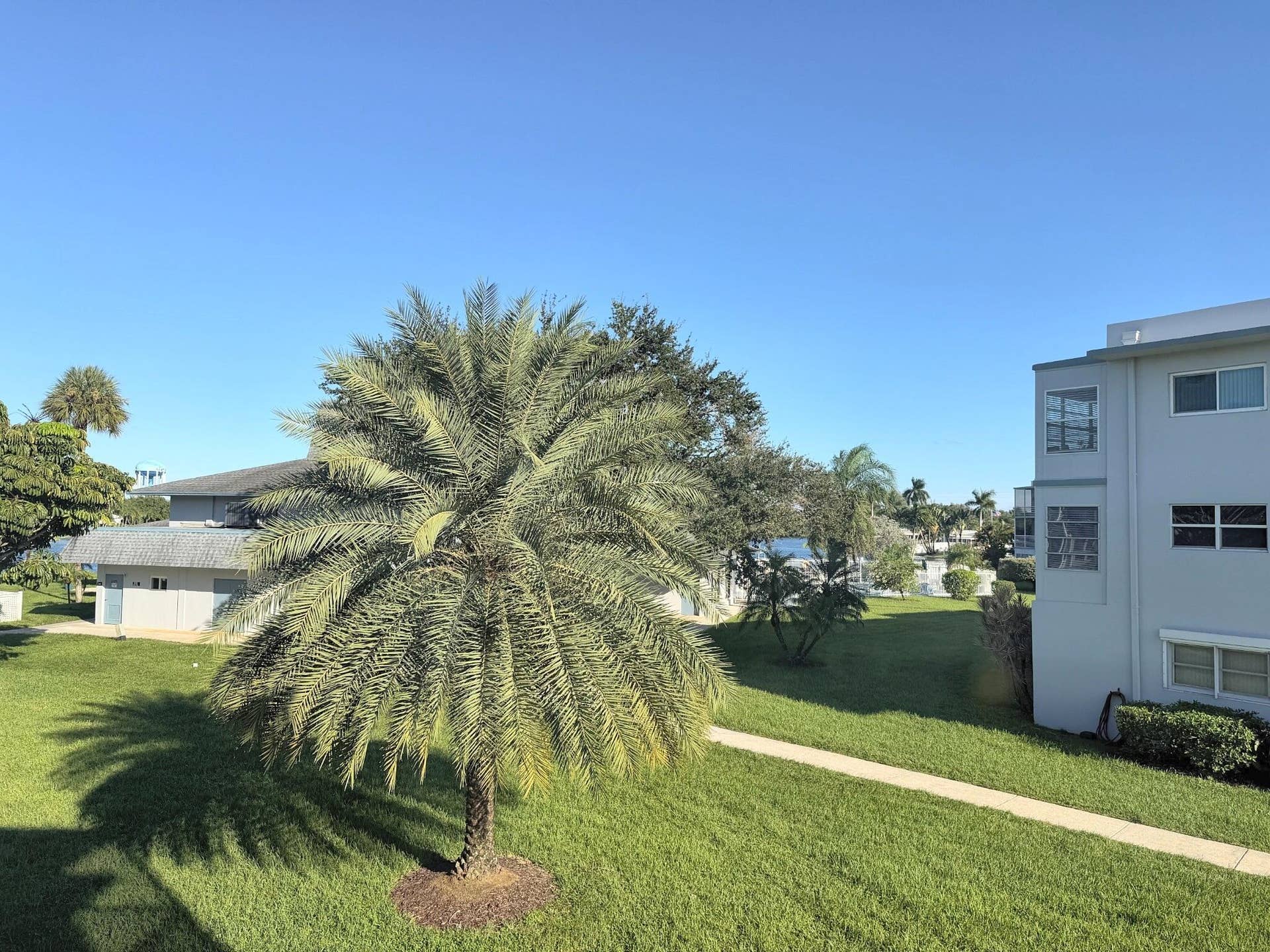 2309 PARK Lane, #210, Hollywood, FL 33021 Unit View