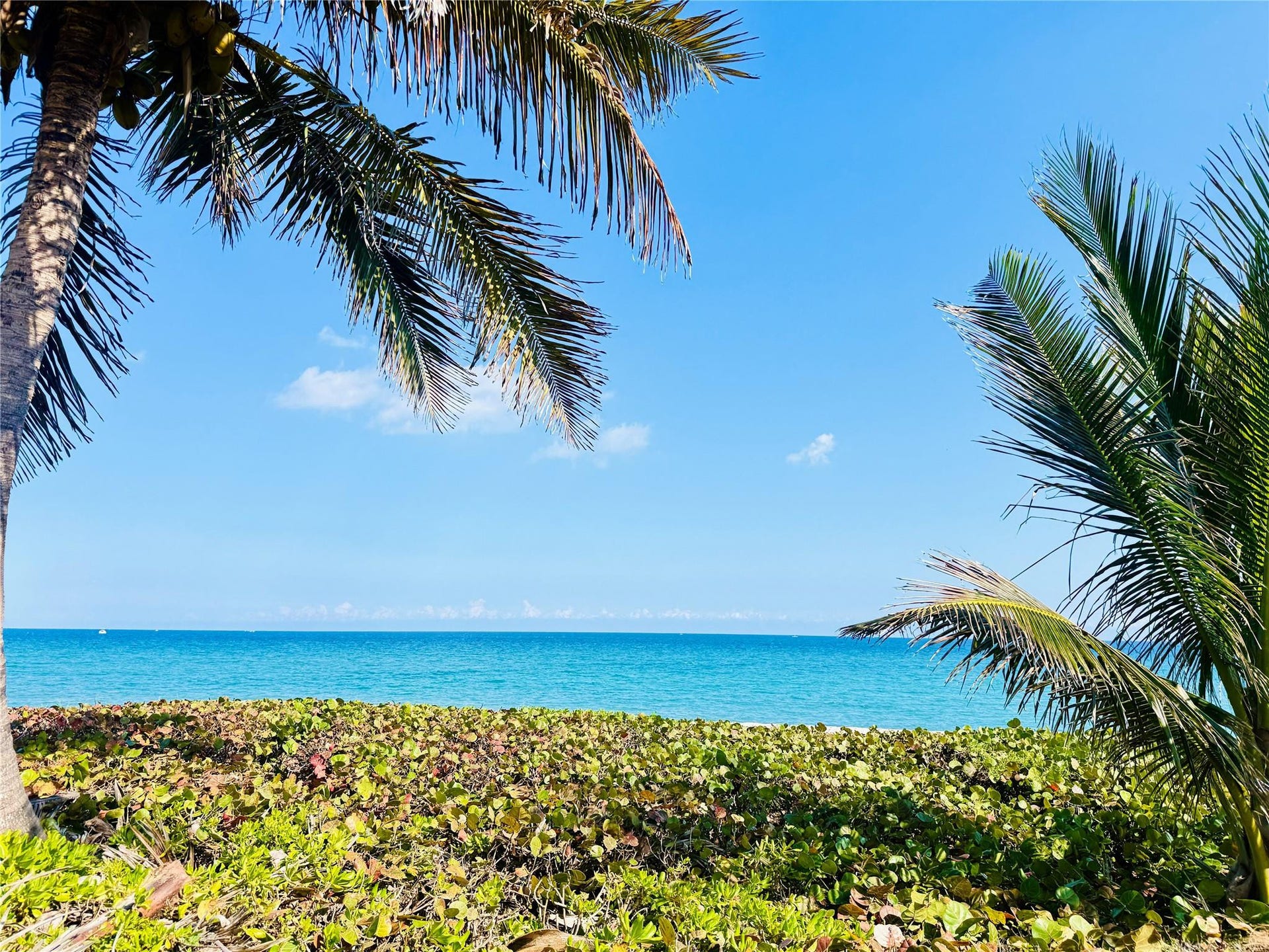 1187 Hillsboro Mile, #9E, Hillsboro Beach, FL 33062 Photo 47