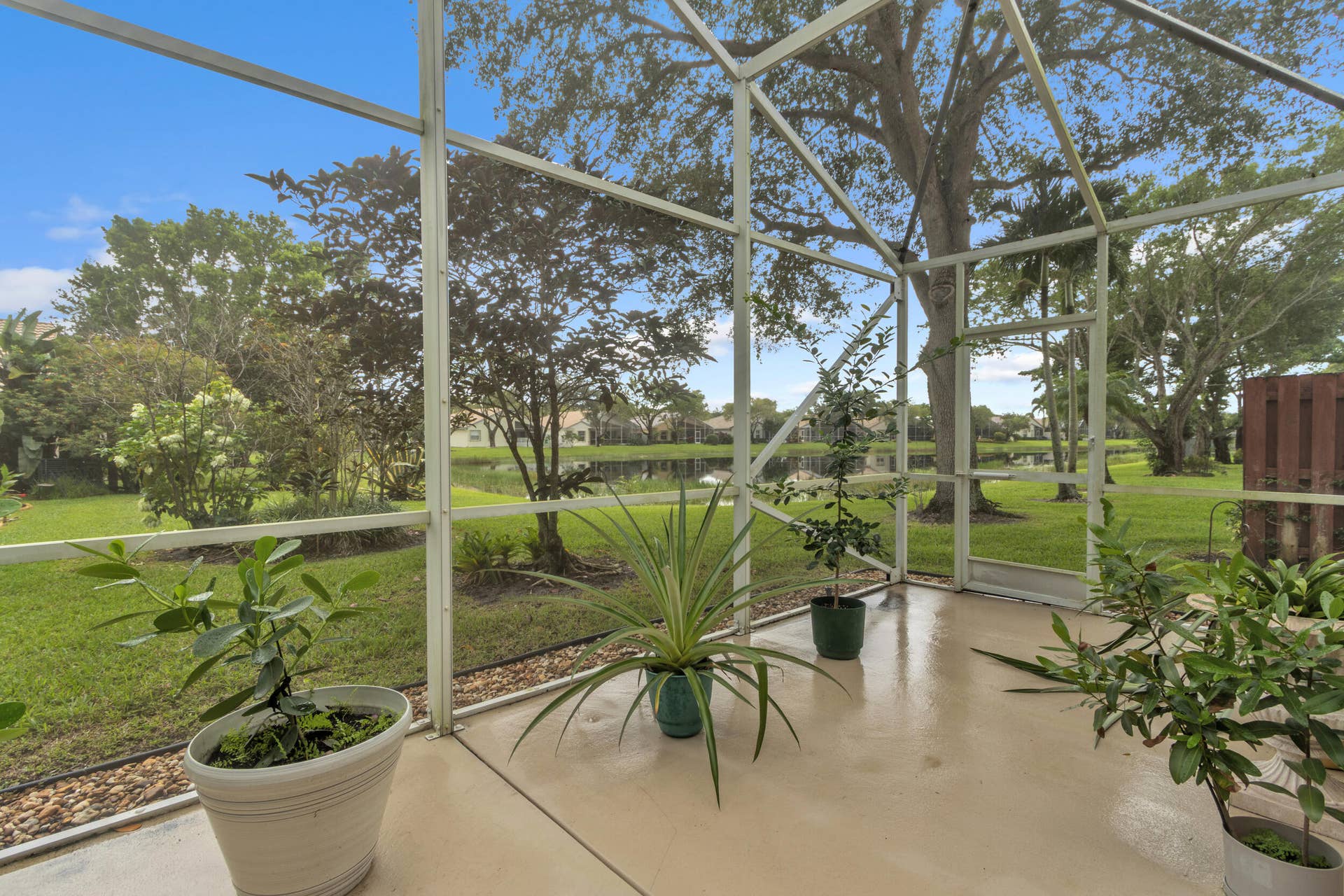 Pond View