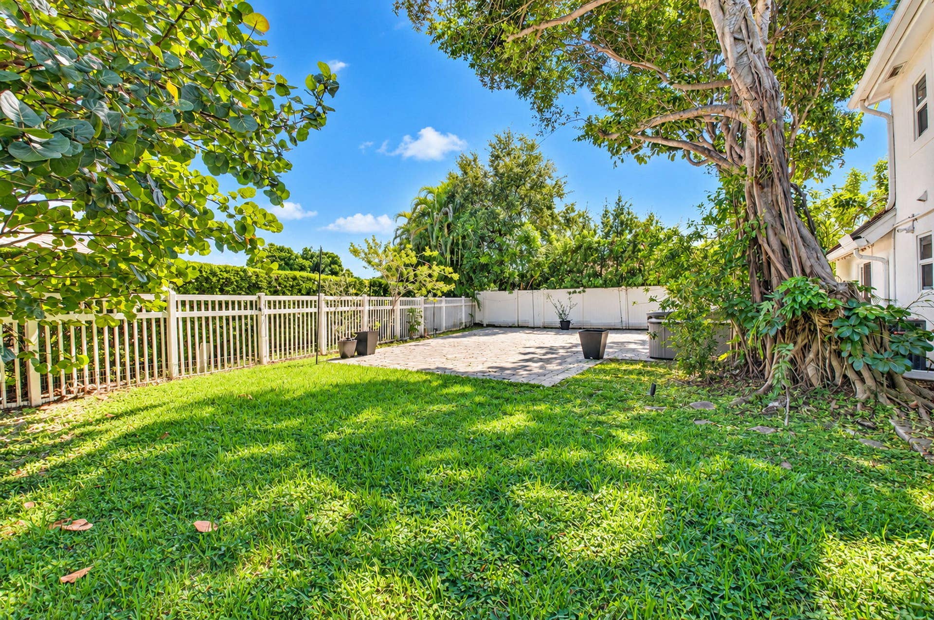 Backyard