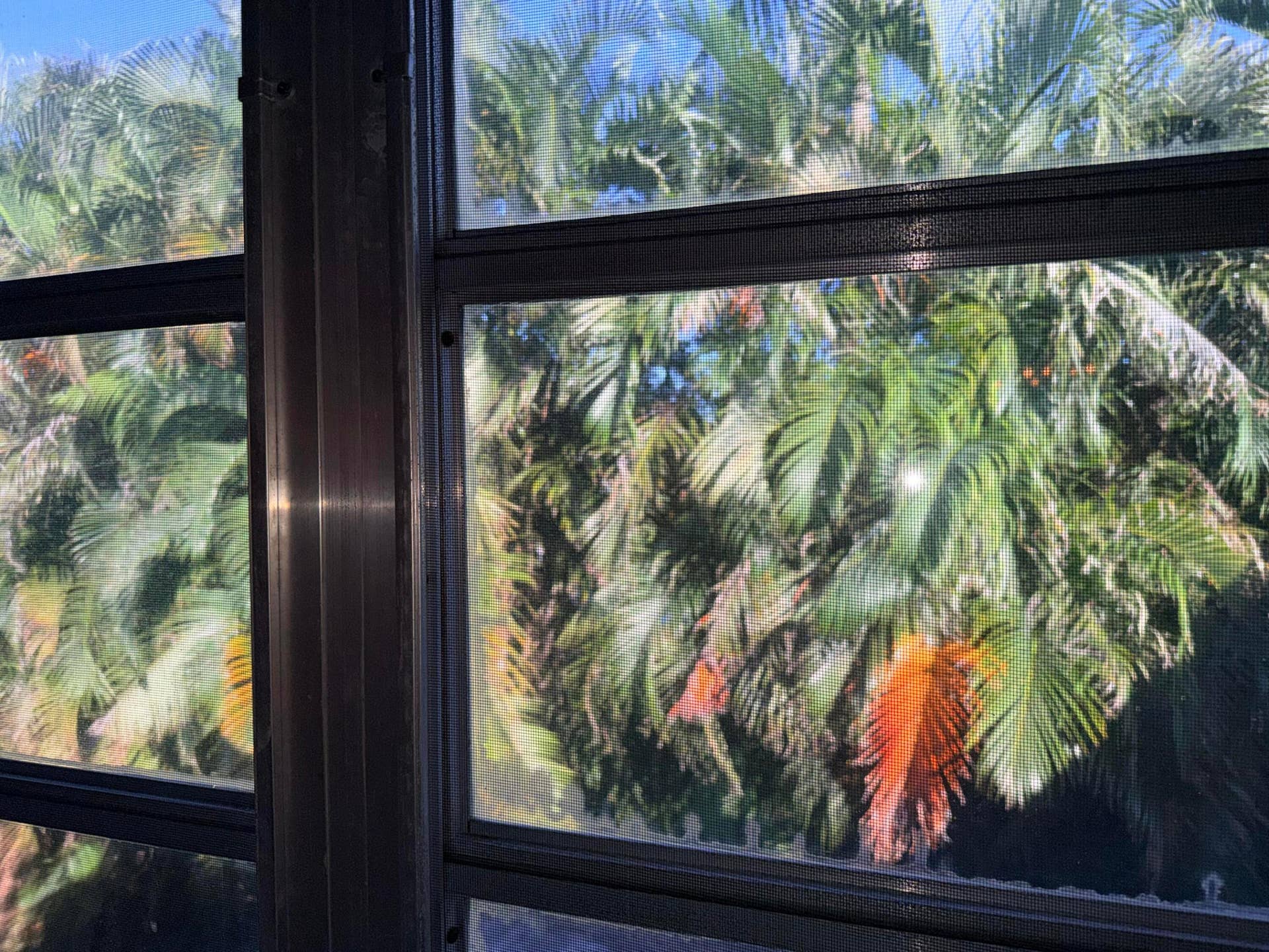 1150 Mahogany Way, #203, Delray Beach, FL 33445 View out of living room windows
