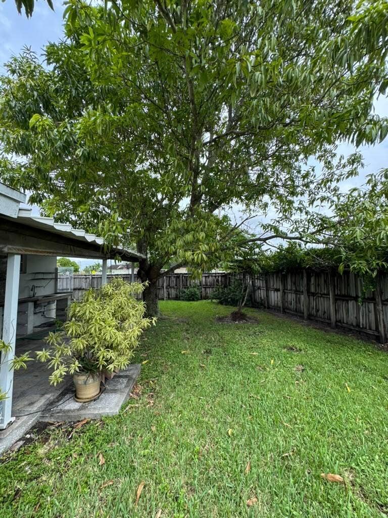 backyard