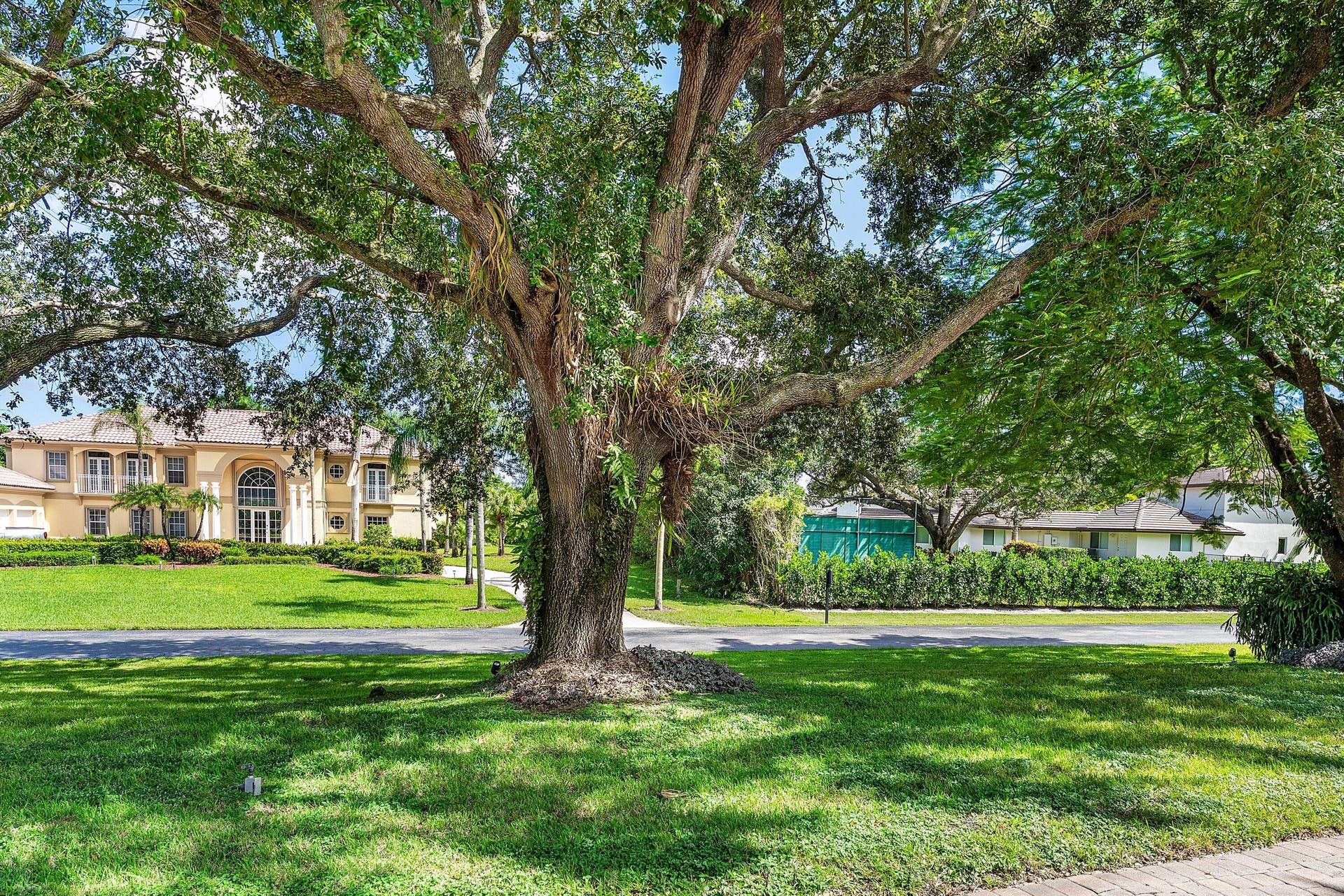 17888 Fieldbrook Circle E, Boca Raton, FL 33496 Mature Trees