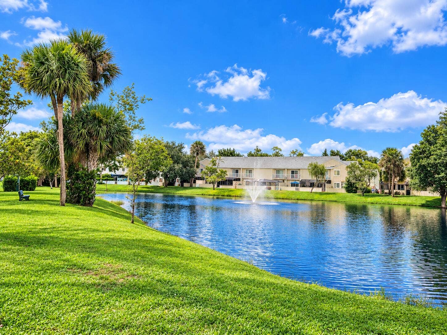Lake View Walking Paths