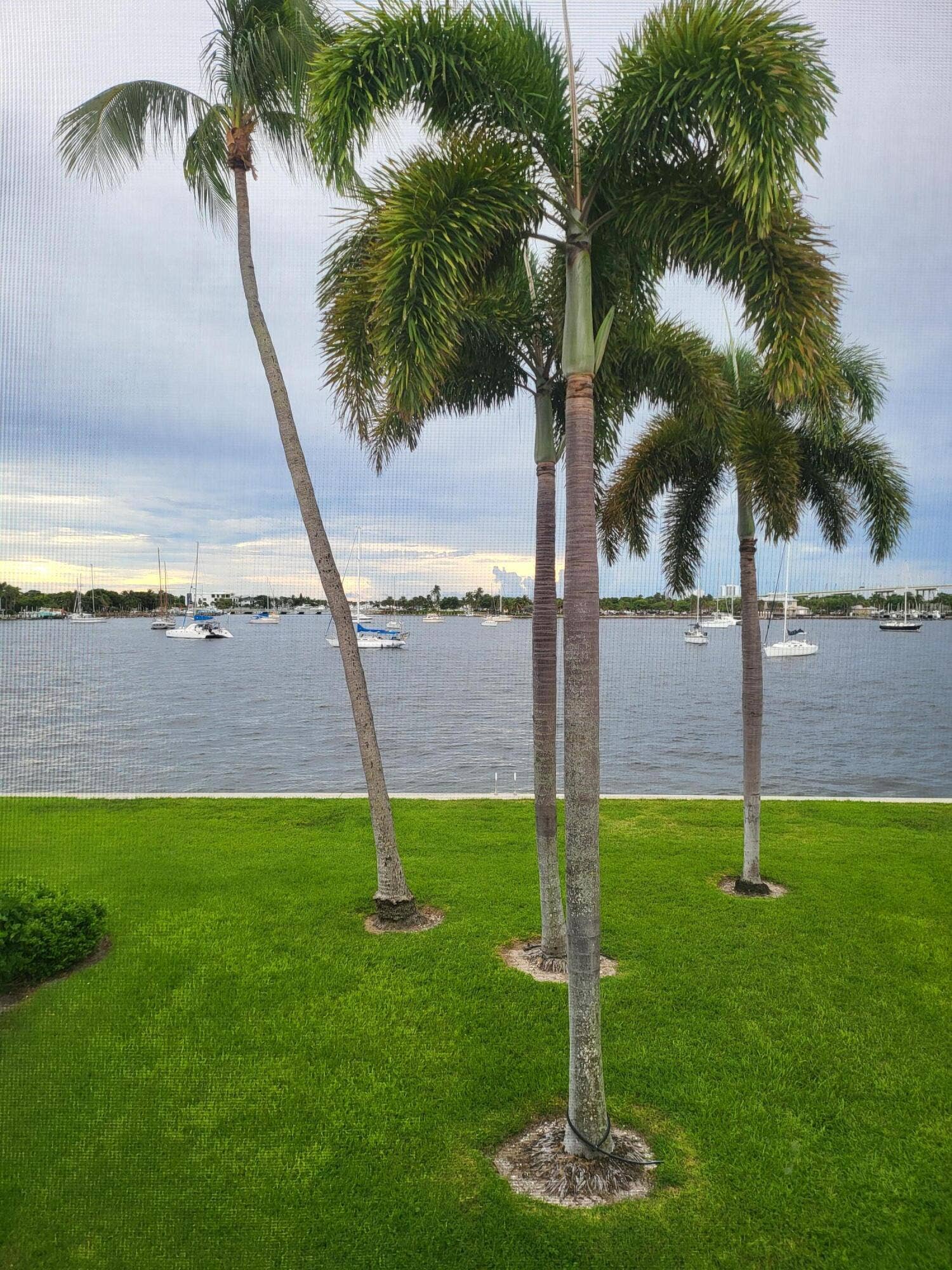 1071 SUGAR SANDS Boulevard, #5, Singer Island, FL 33404 20260919_175459