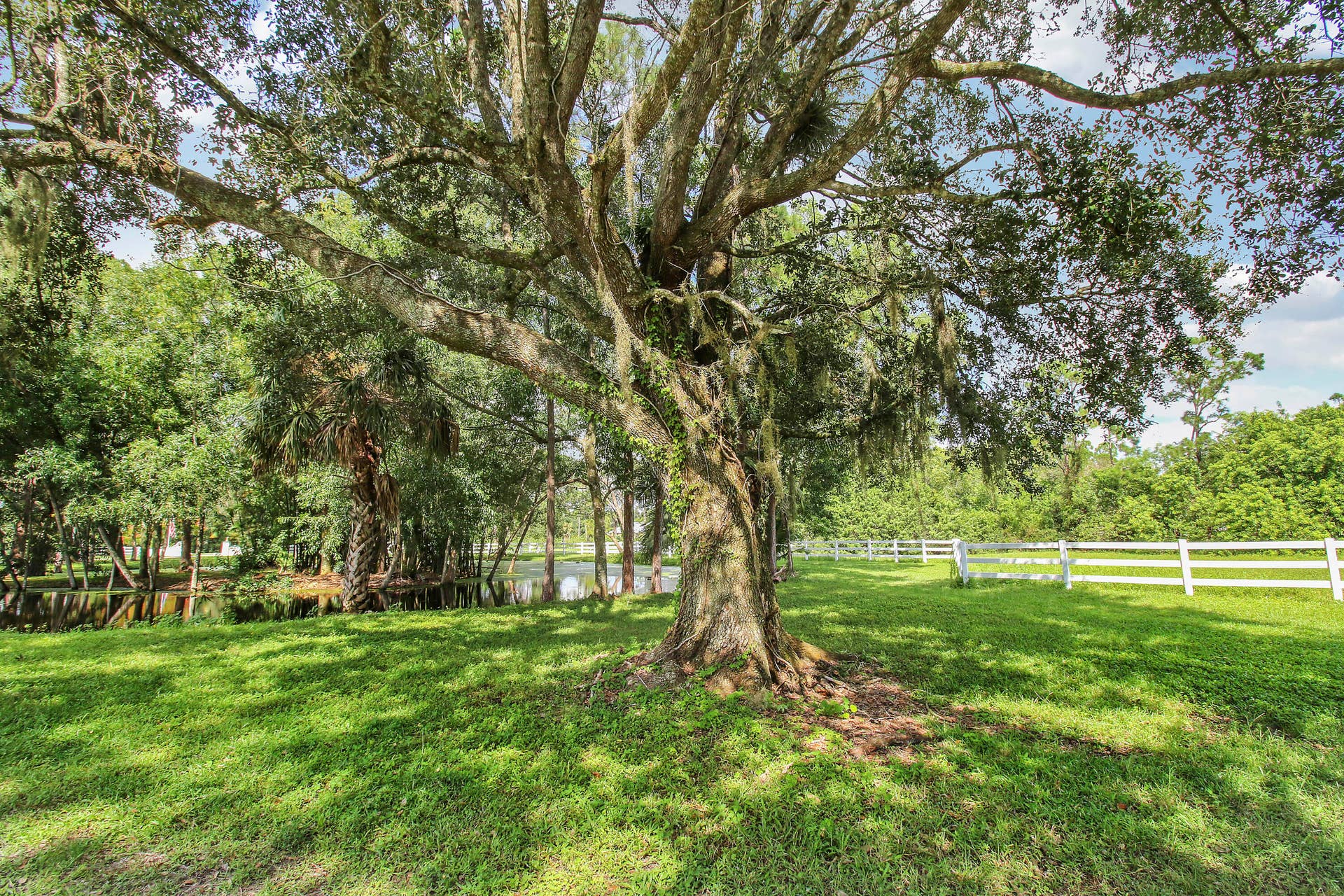 17058 Alexander Run, Jupiter, FL 33478 House 2 -4