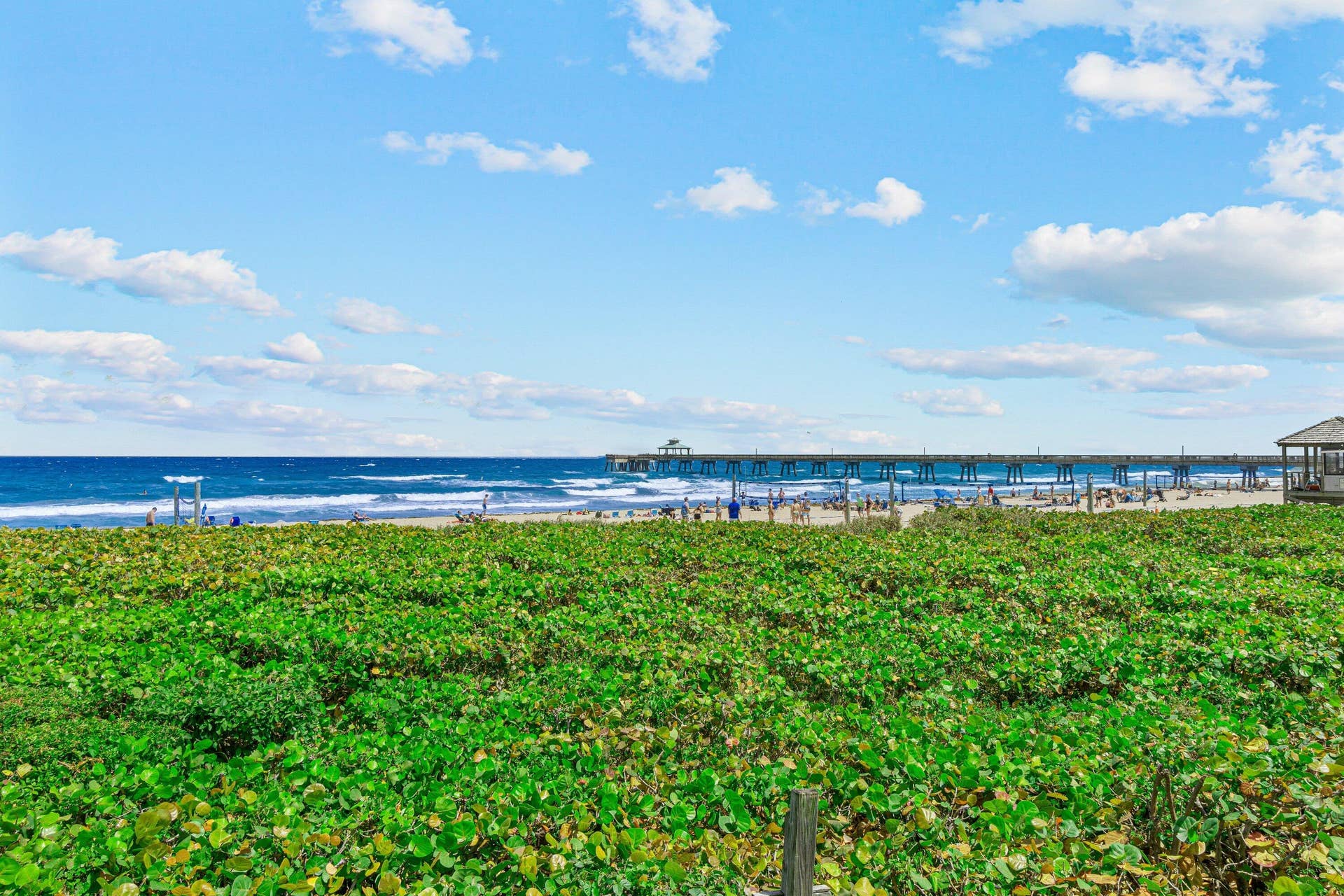 333 NE 21ST Avenue, #1714, Deerfield Beach, FL 33441 056-333Northeast21stAvenue-1714-Deerfiel