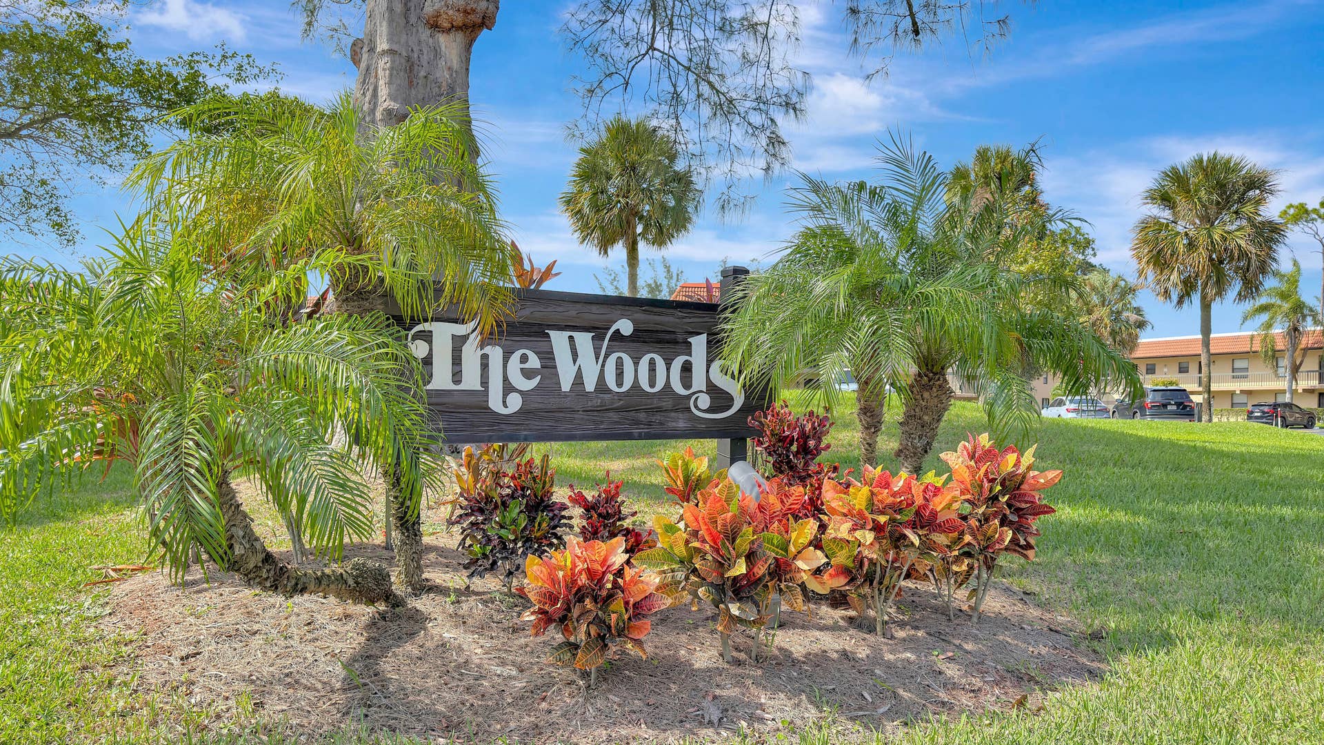 The Woods