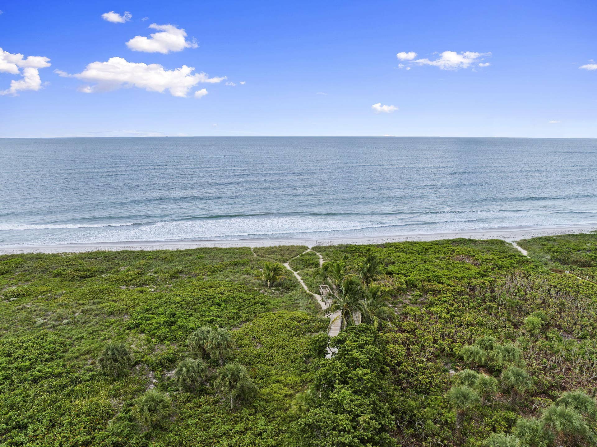 6-web-or-mls-DJI_0524
