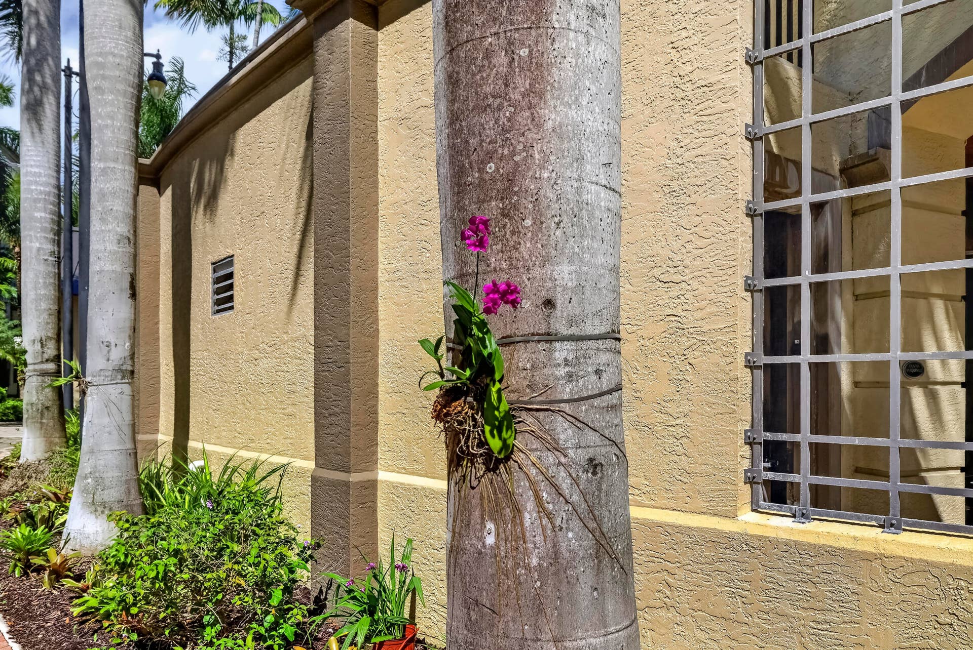 2631 NE 14TH Avenue, #216, Wilton Manors, FL 33334 Tropical landscaping throughout the Village lane