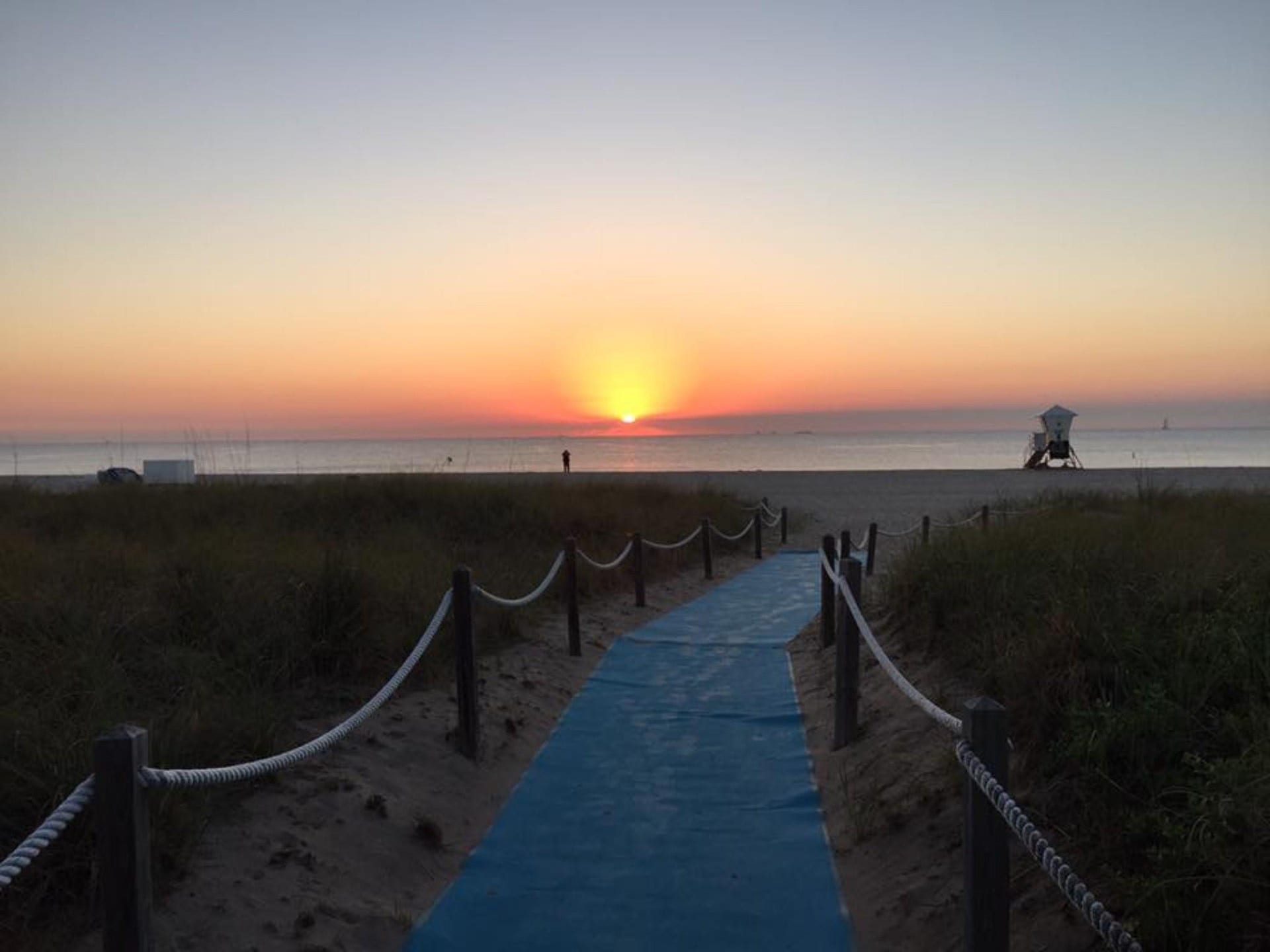 305 N POMPANO BEACH Boulevard, #206, Pompano Beach, Pompano Beach, FL 33062 Direct beach access via a paved walkway, bordered by wood posts and rope railings, featuring native coastal dune vegetation and an ocean horizon