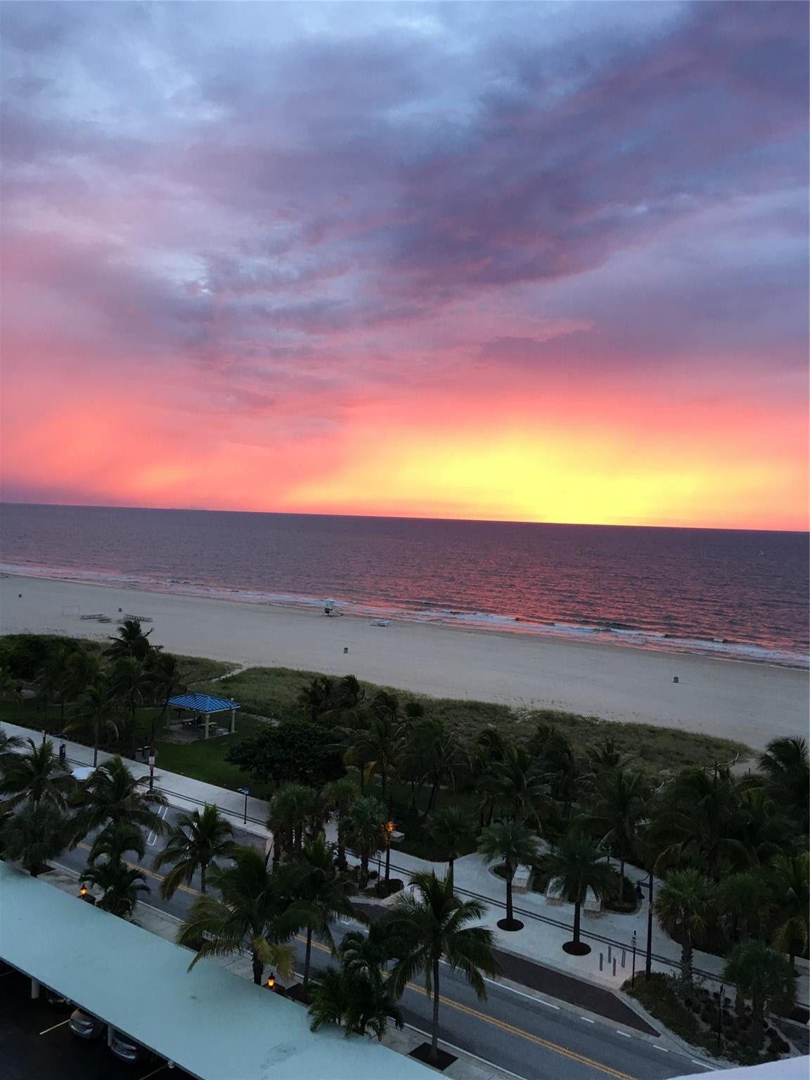 305 N POMPANO BEACH Boulevard, #206, Pompano Beach, Pompano Beach, FL 33062 Panoramic ocean horizon with expansive coastal shoreline and mature palm tree landscaping