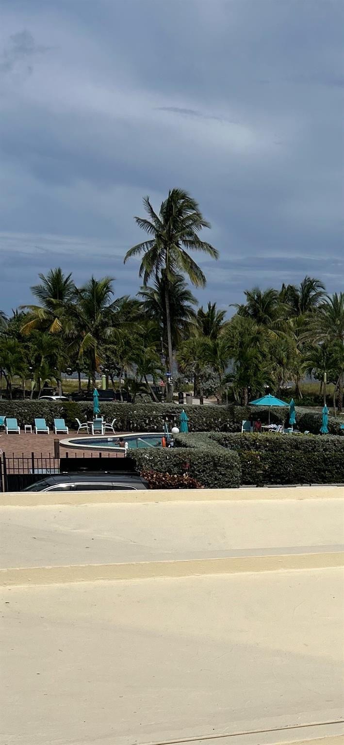 305 N POMPANO BEACH Boulevard, #206, Pompano Beach, Pompano Beach, FL 33062 Swimming pool with a brick-paver deck, mature palm trees, and manicured privacy hedging