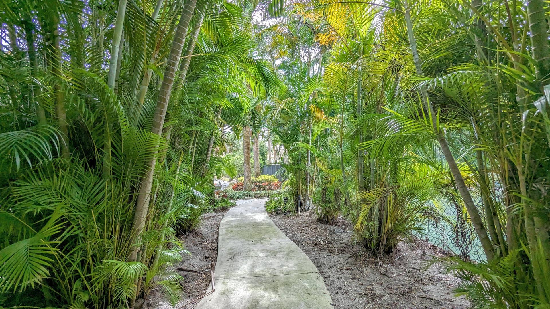 3002 Lucerne Park Drive, #5121, Greenacres, FL 33467 Path to clubhouse