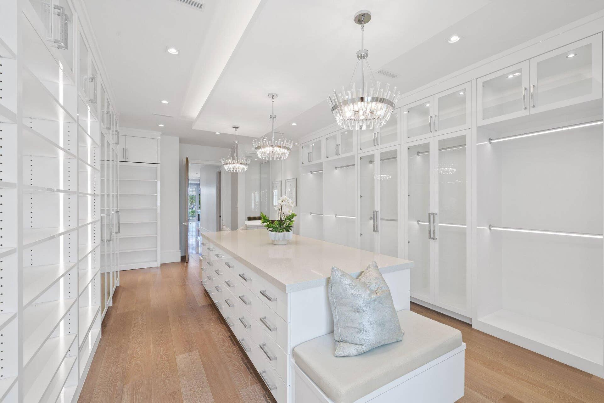 Luxurious Closet