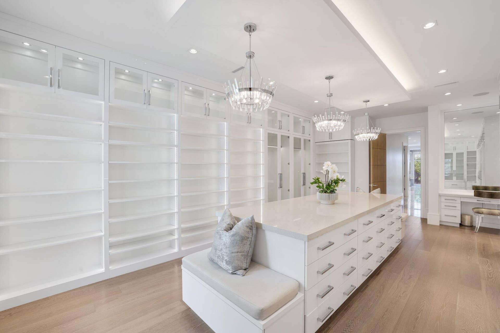 Luxurious Closet