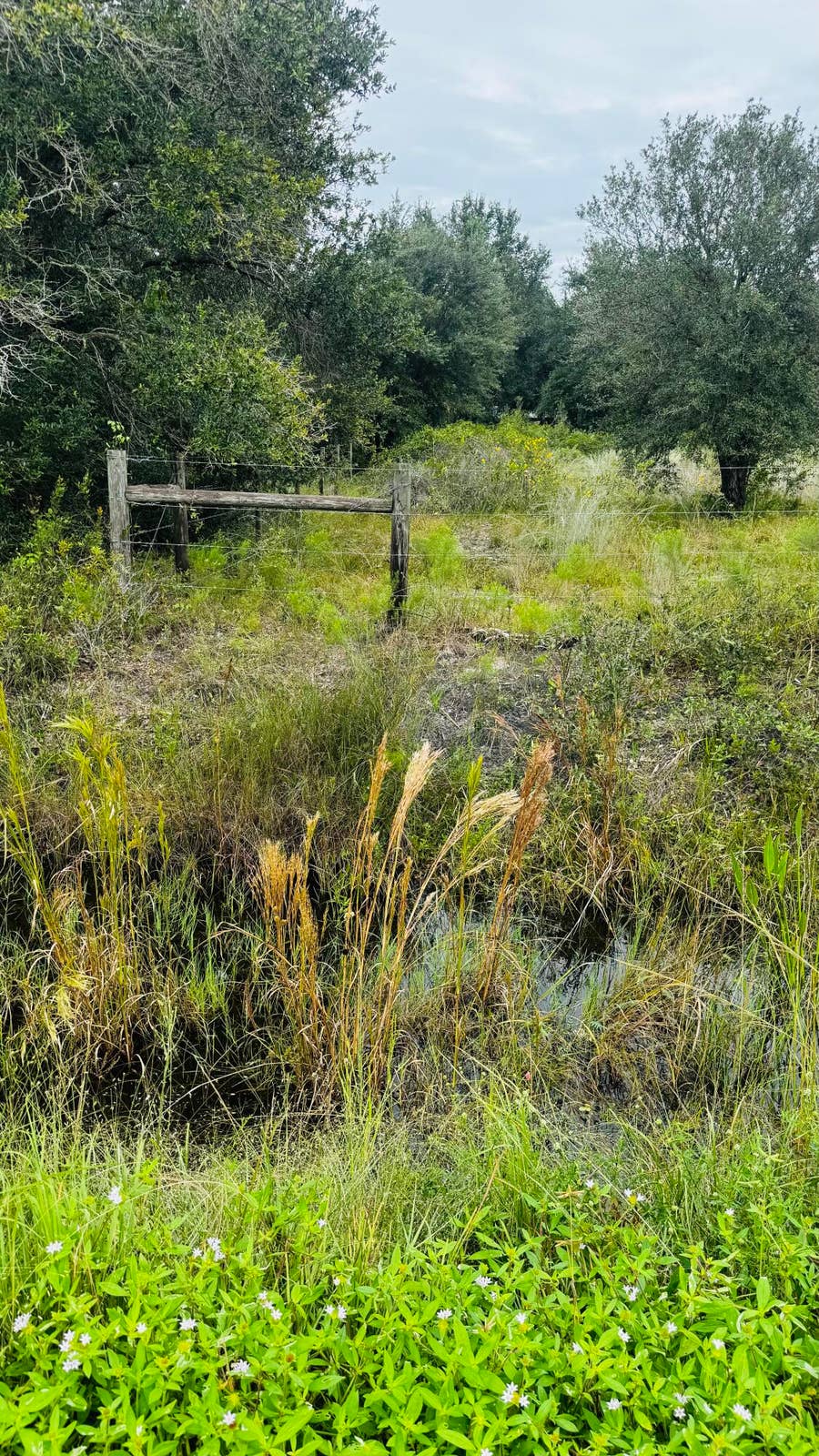 Property photo for 17011 NW 304th Street, Okeechobee, FL