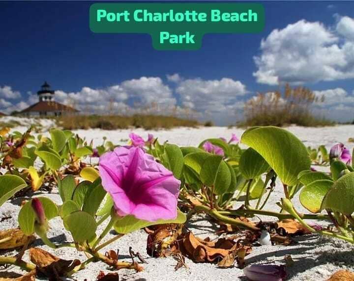 6406 Klaus Court, Port Charlotte, FL 33981 IMG-20261012-WA0050
