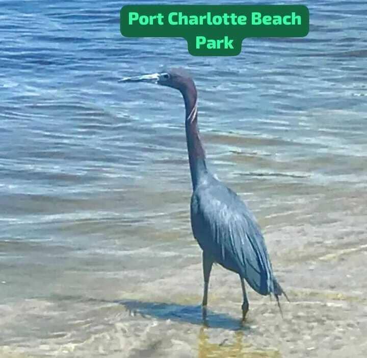 6406 Klaus Court, Port Charlotte, FL 33981 IMG-20261012-WA0049