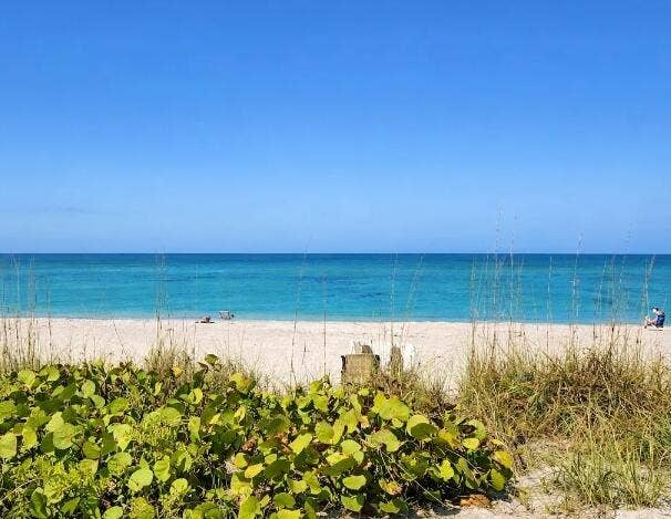 13389 Foresman Boulevard, Port Charlotte, FL 33981 IMG-20261012-WA0044