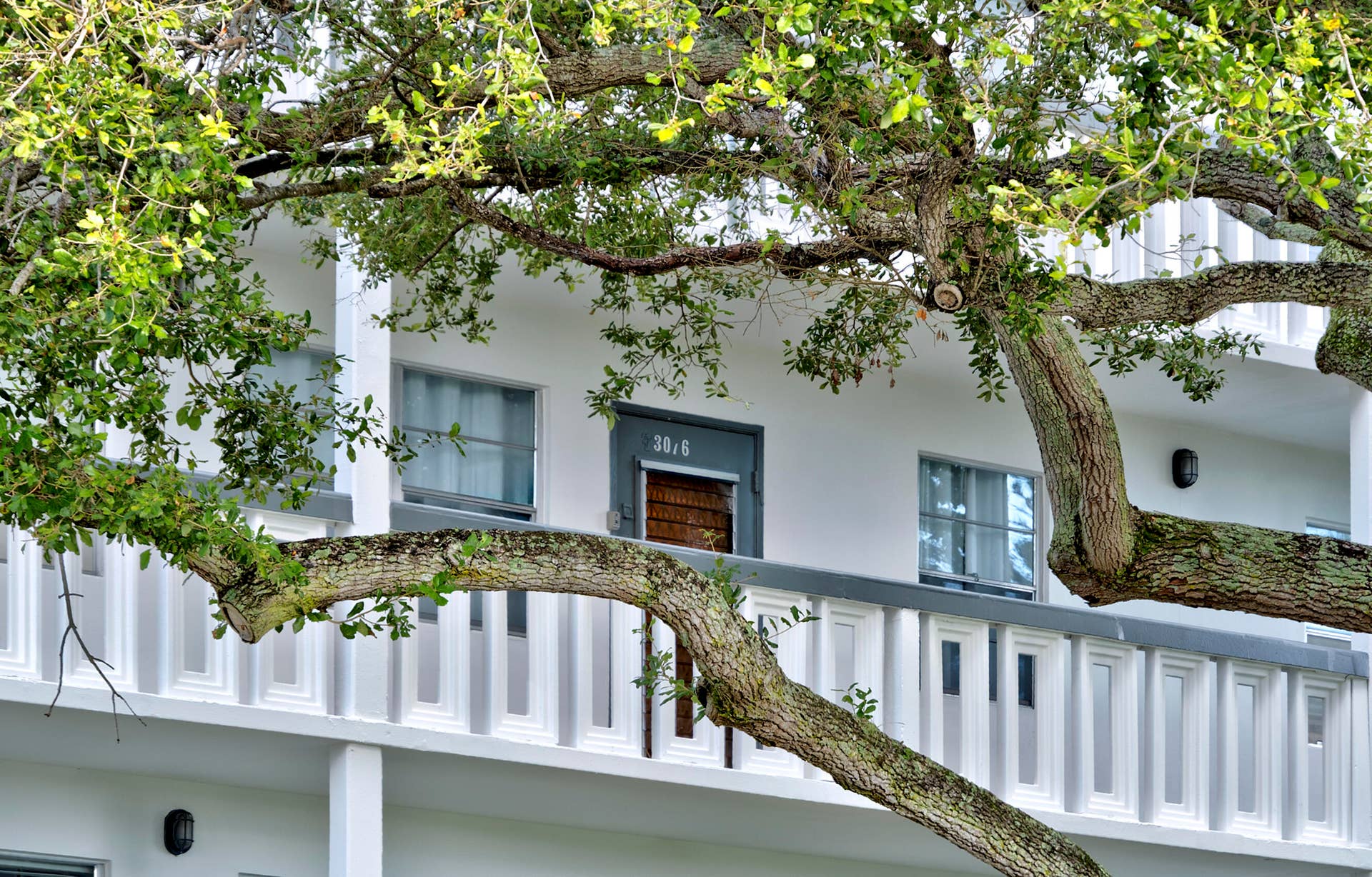 3076 Newport Drive, #Q, Deerfield Beach, FL 33442 R_F18