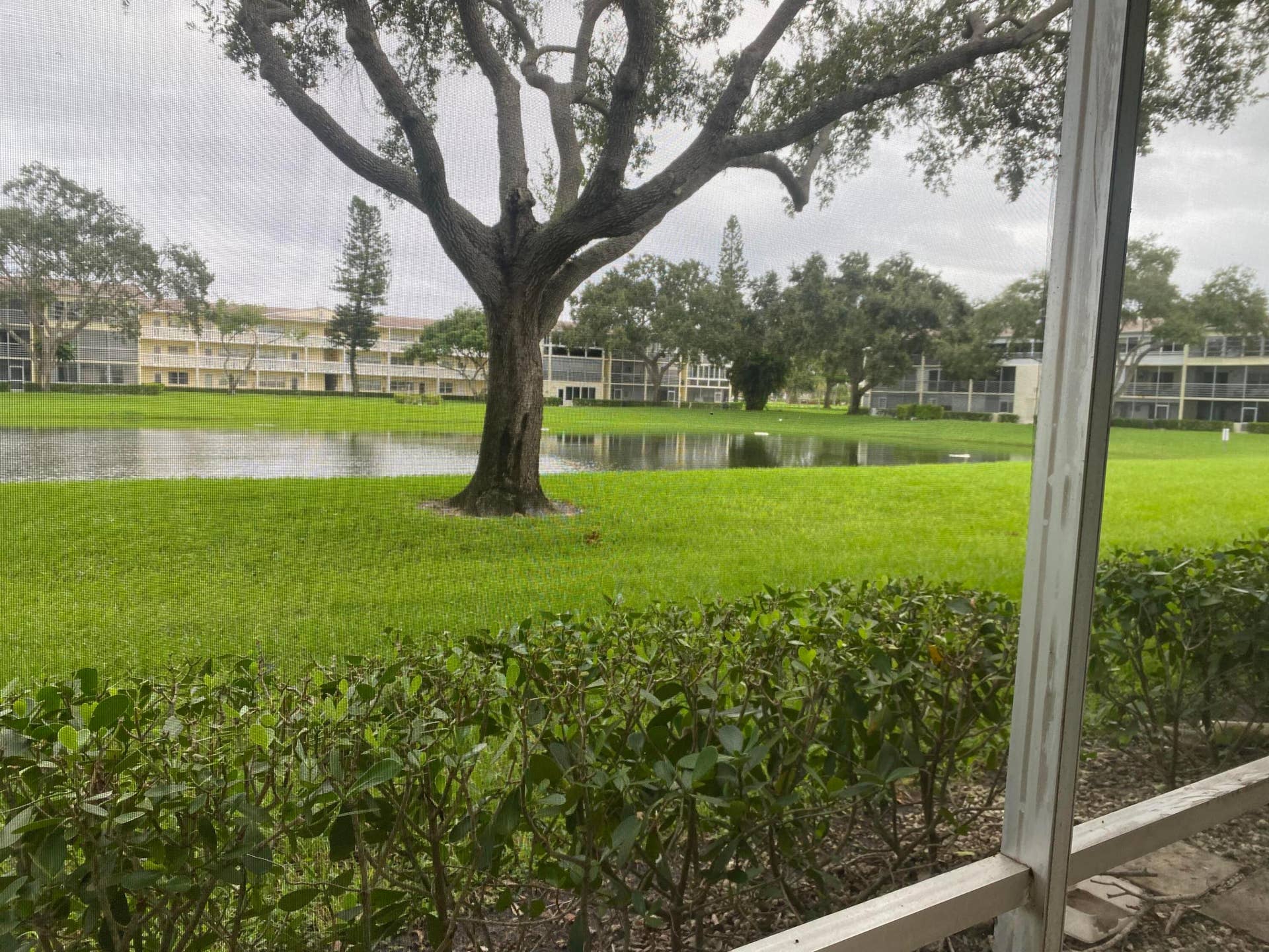 135 DORSET D, #135, Boca Raton, FL 33434 IMG_6527