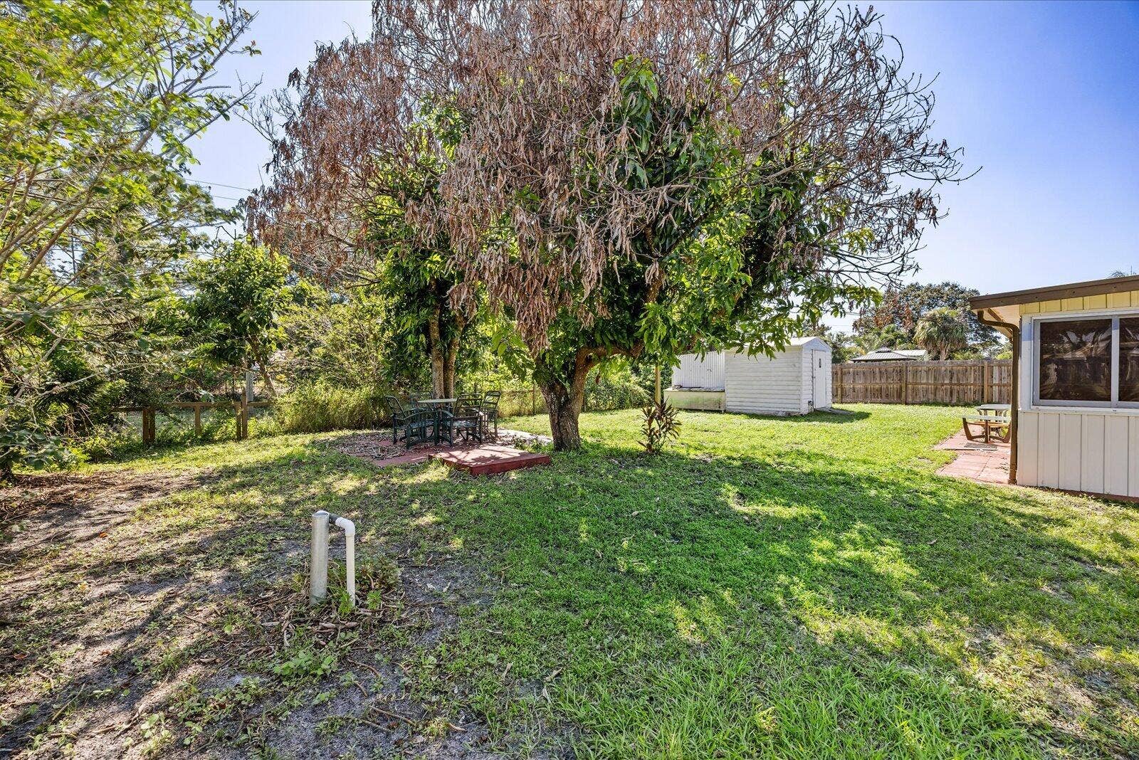 113 CONOVER Avenue, Sebastian, FL 32958 Expansive backyard featuring mature trees, a detached storage structure, and paver patio areas