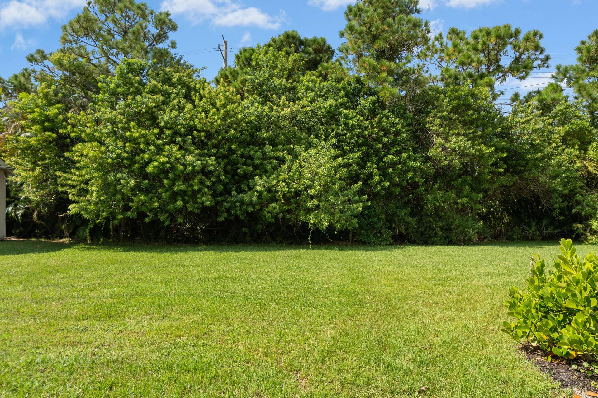 808 SW MUNJACK Circle, Port St Lucie, FL 34986 DSC01935