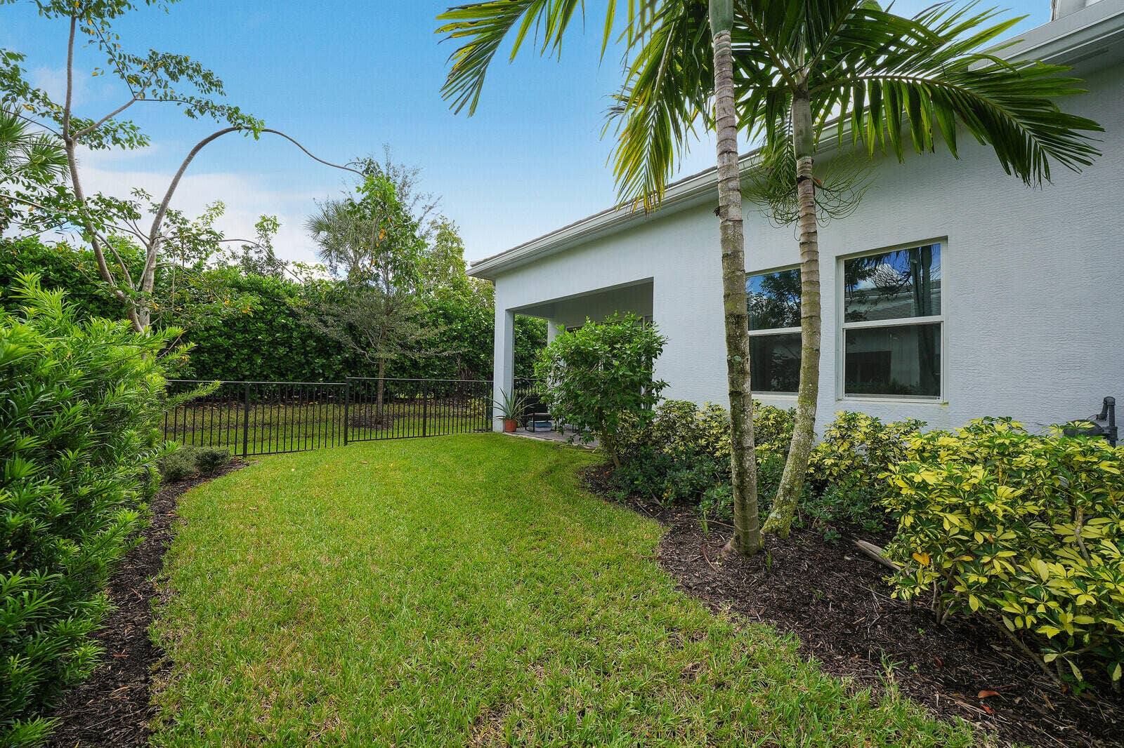 Full functional backyard