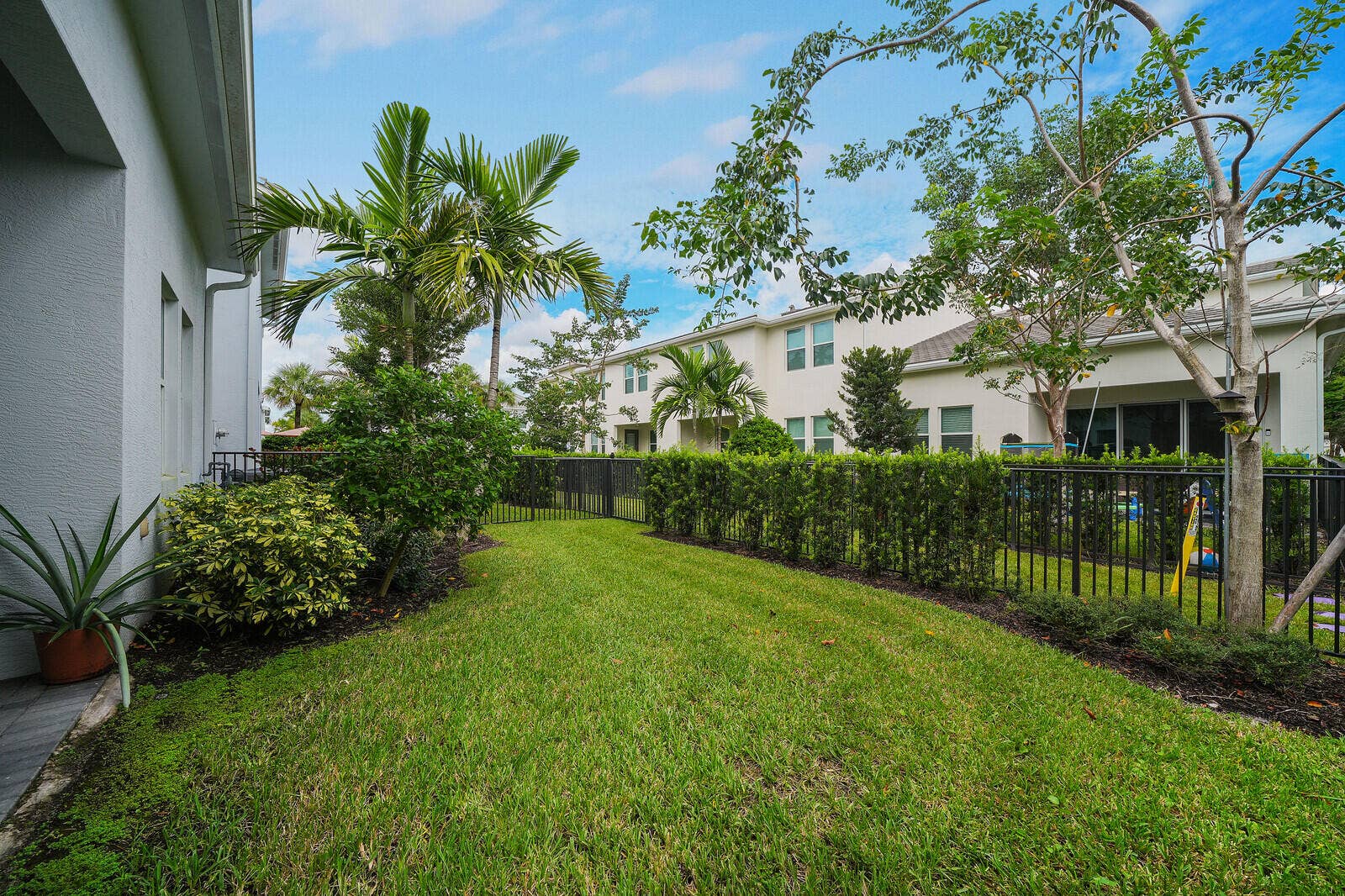 Backyard featuring a manicured lawn, established palm trees, trimmed hedge perimeter, and metal fencing