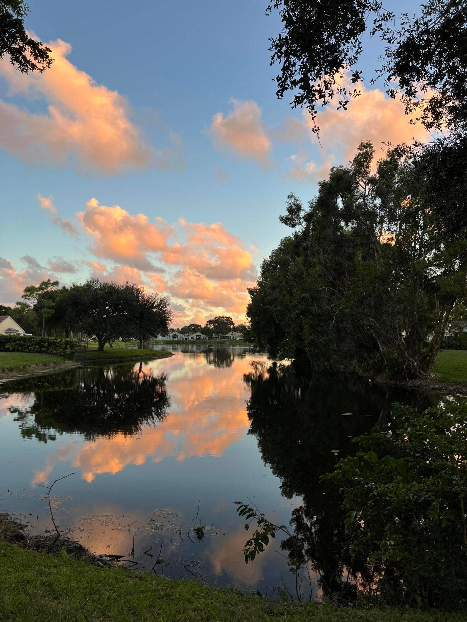 4170 MANOR FOREST Boulevard, Boynton Beach, FL 33436 86EC3D97-8335-4CD4-B5A8-5E57430FE4AE