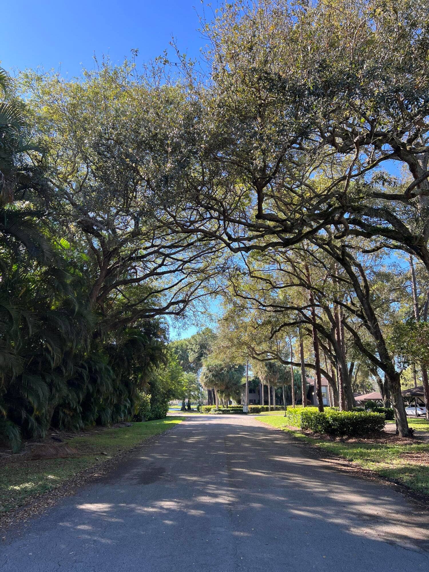 4170 MANOR FOREST Boulevard, Boynton Beach, FL 33436 13E005A0-FC30-43F0-8C87-254D3D2AA20A