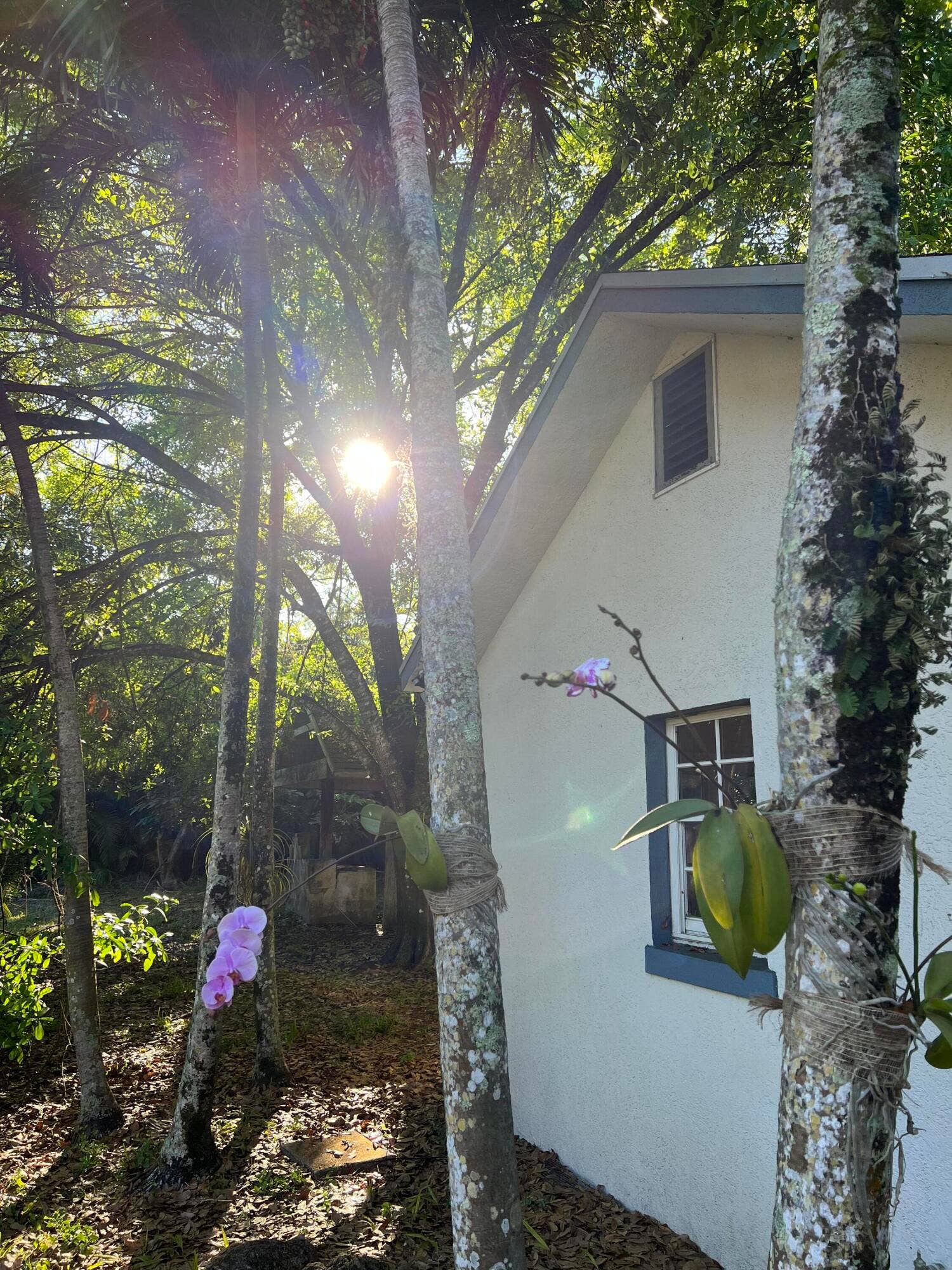 4170 MANOR FOREST Boulevard, Boynton Beach, FL 33436 IMG_5023