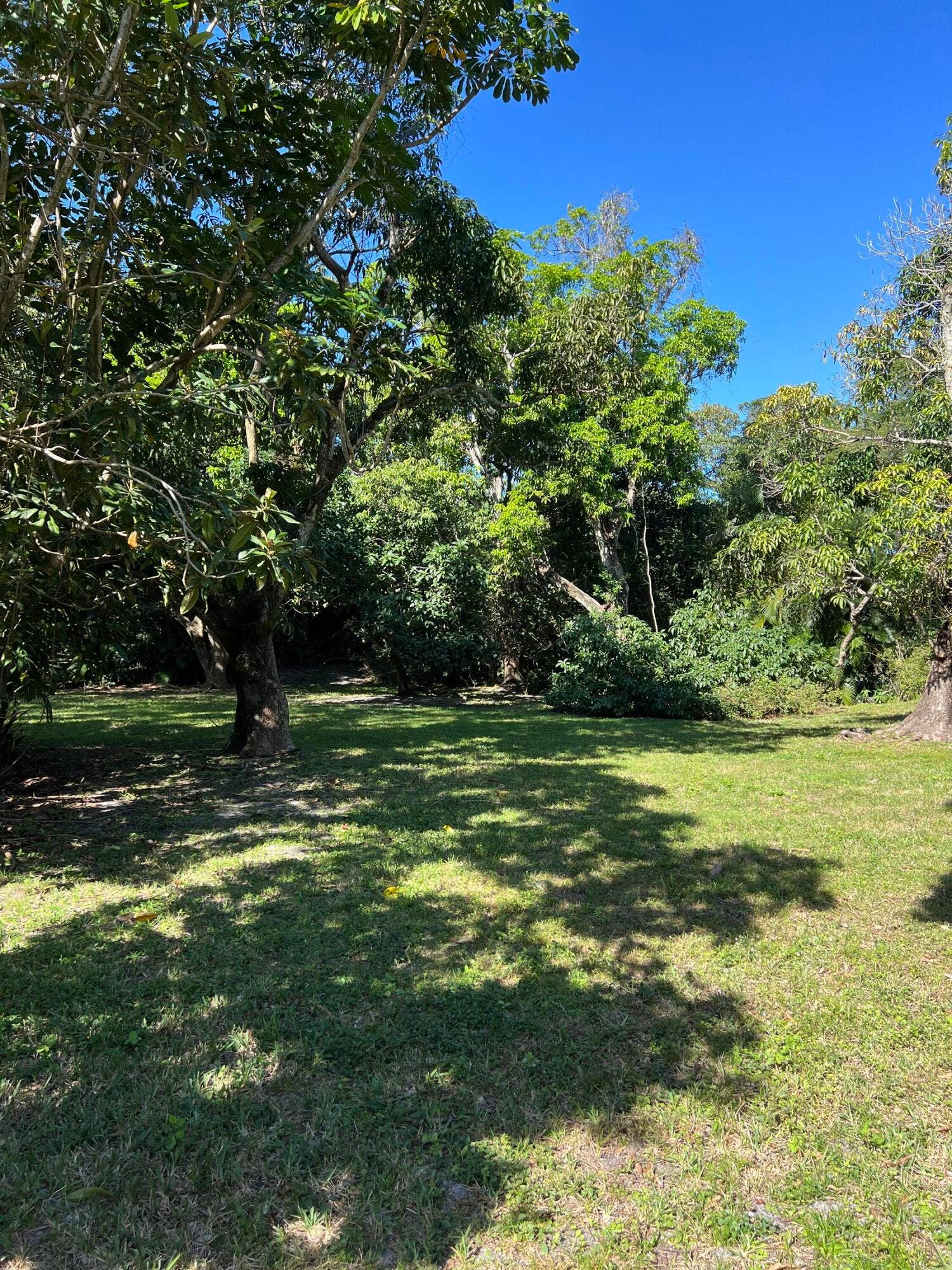 4170 MANOR FOREST Boulevard, Boynton Beach, FL 33436 IMG_1095