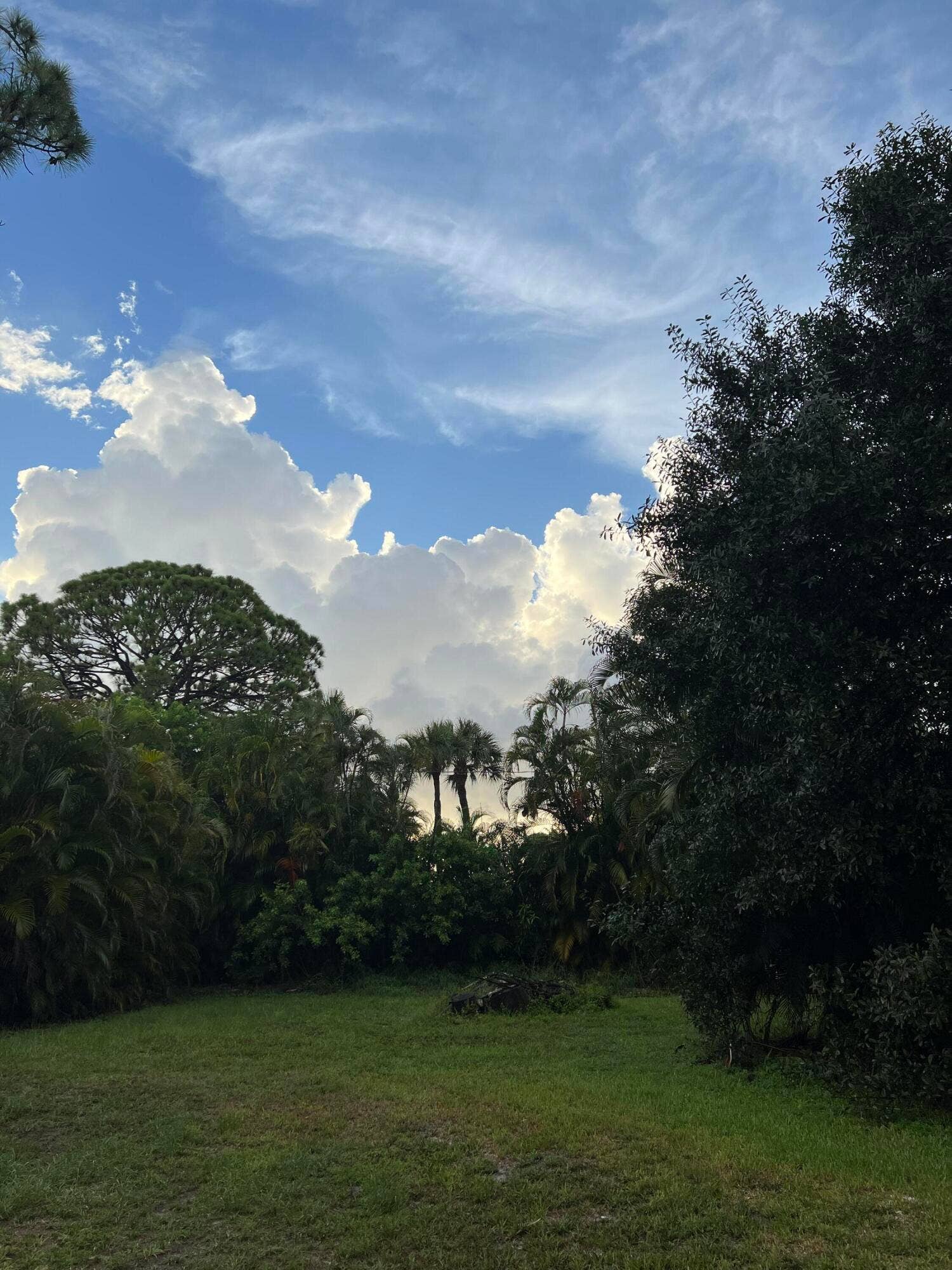 4170 MANOR FOREST Boulevard, Boynton Beach, FL 33436 317BA64C-08B5-42F0-AA11-39A9EF4978A1