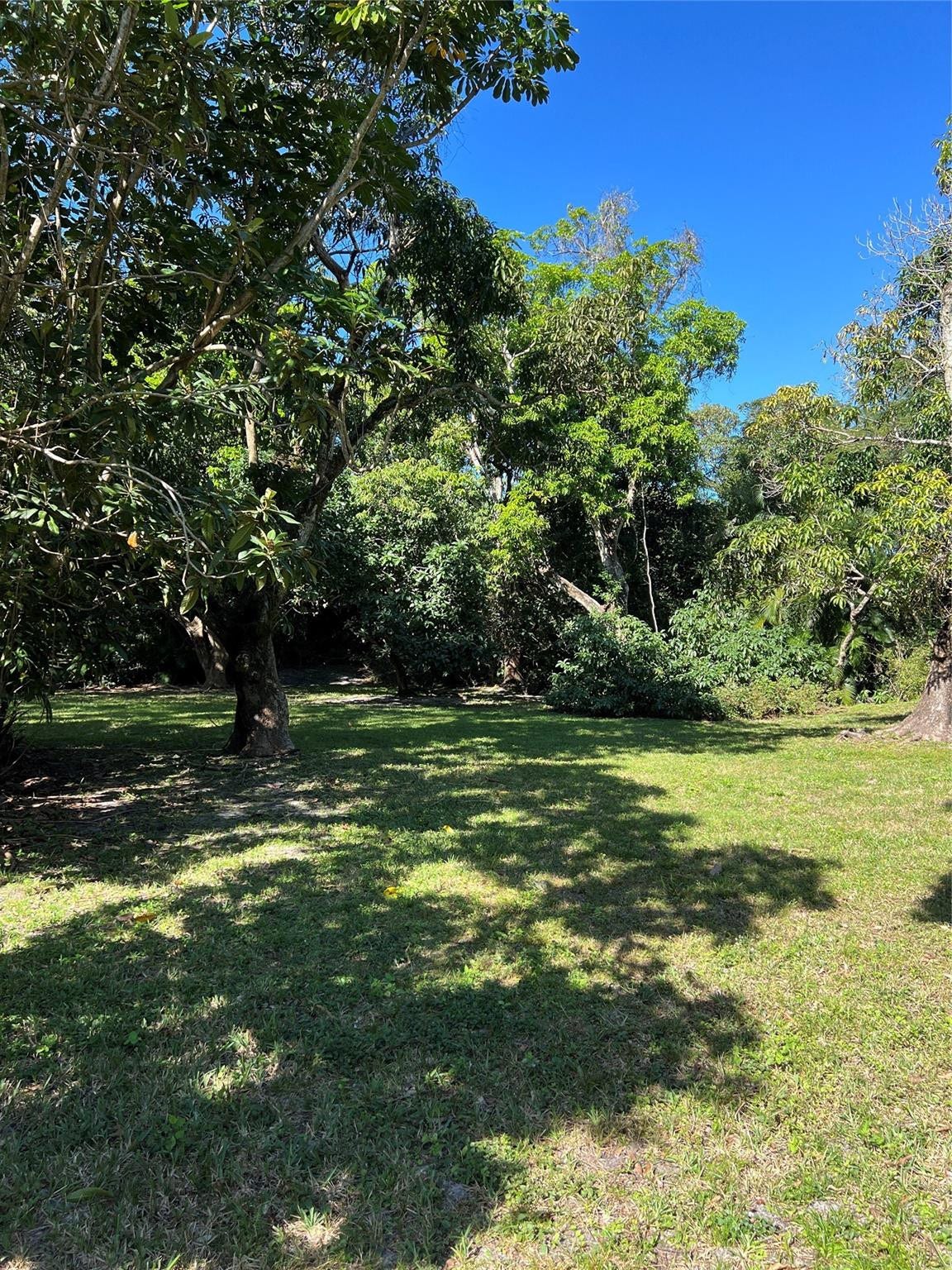 4170 MANOR FOREST Boulevard, Boynton Beach, Boynton Beach, FL 33436 Photo 2