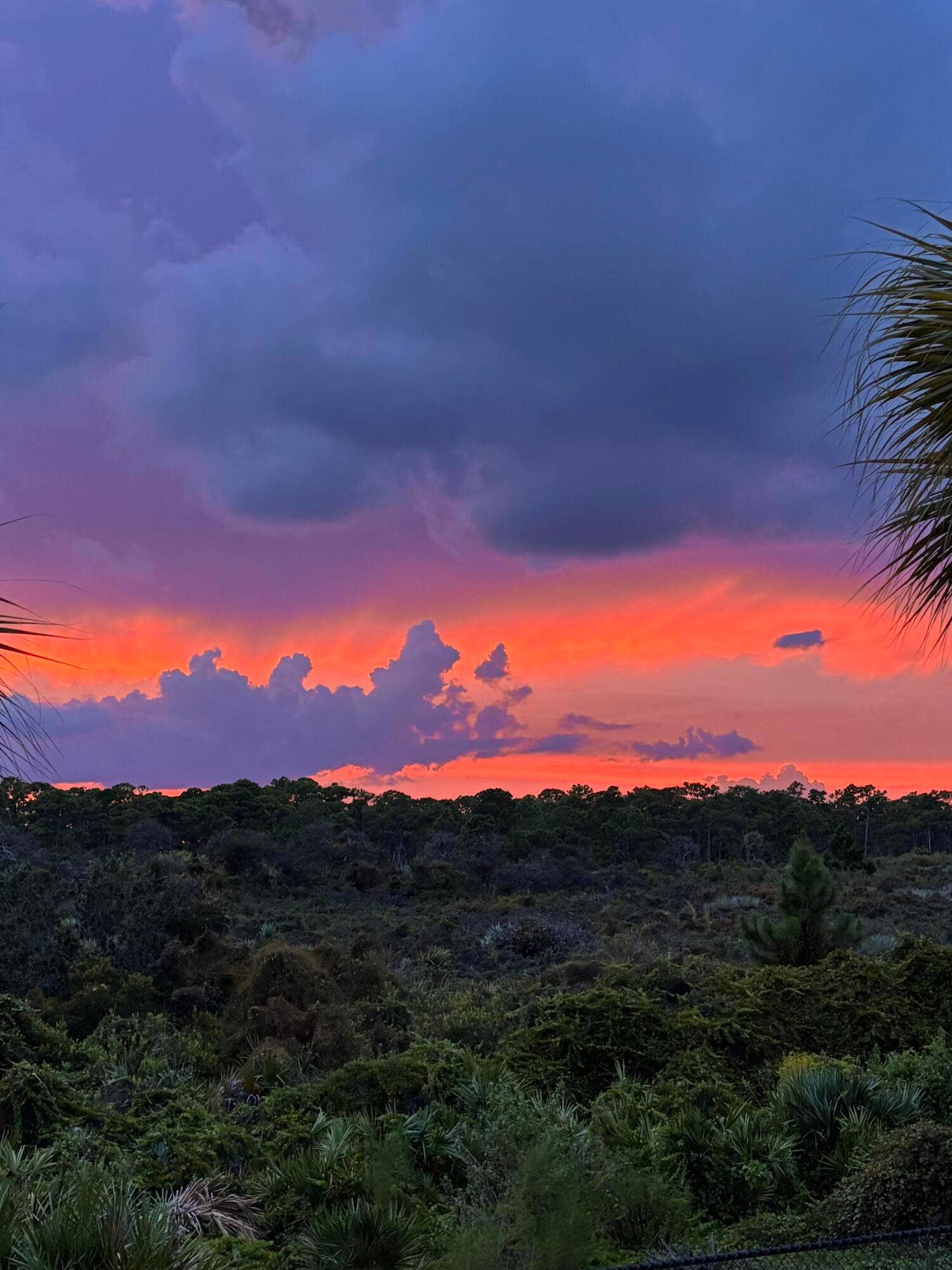 202 SEA OATS Drive E, #E, Juno Beach, Juno Beach, FL 33408 JUNO SUNSET CLOSE UP