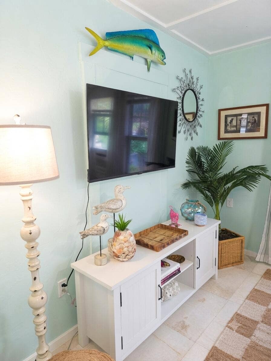 tv area/books