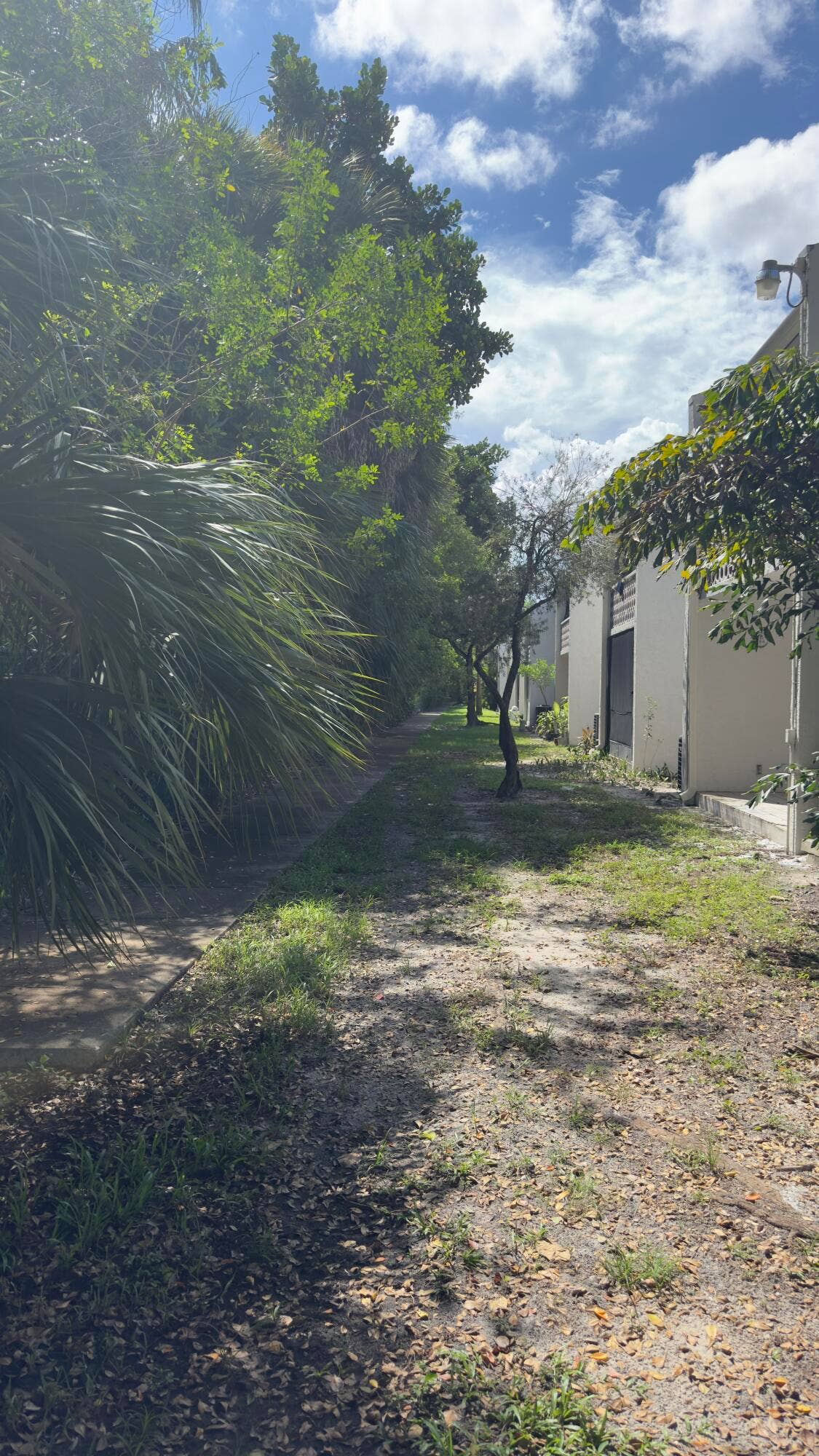 4220 INVERRARY Boulevard, #99A, Lauderhill, Lauderhill, FL 33319 Backyard