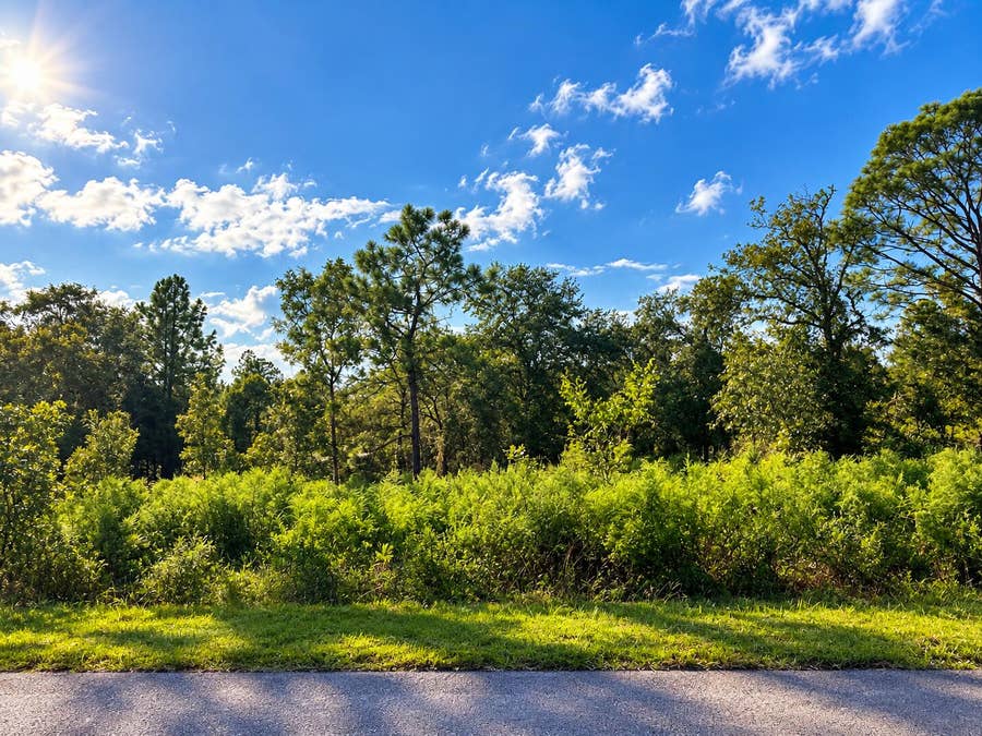 Property photo for N/a SW  Winding Hills Road, Dunnellon, FL